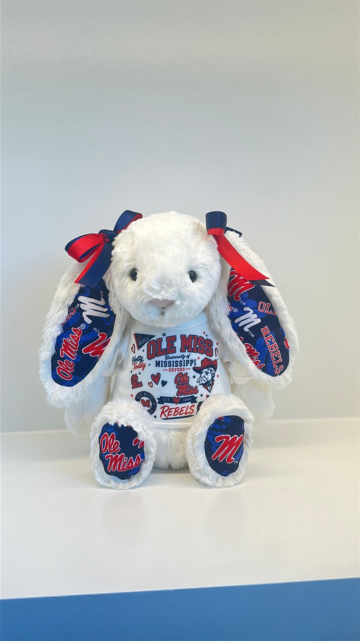 Custom College Plush