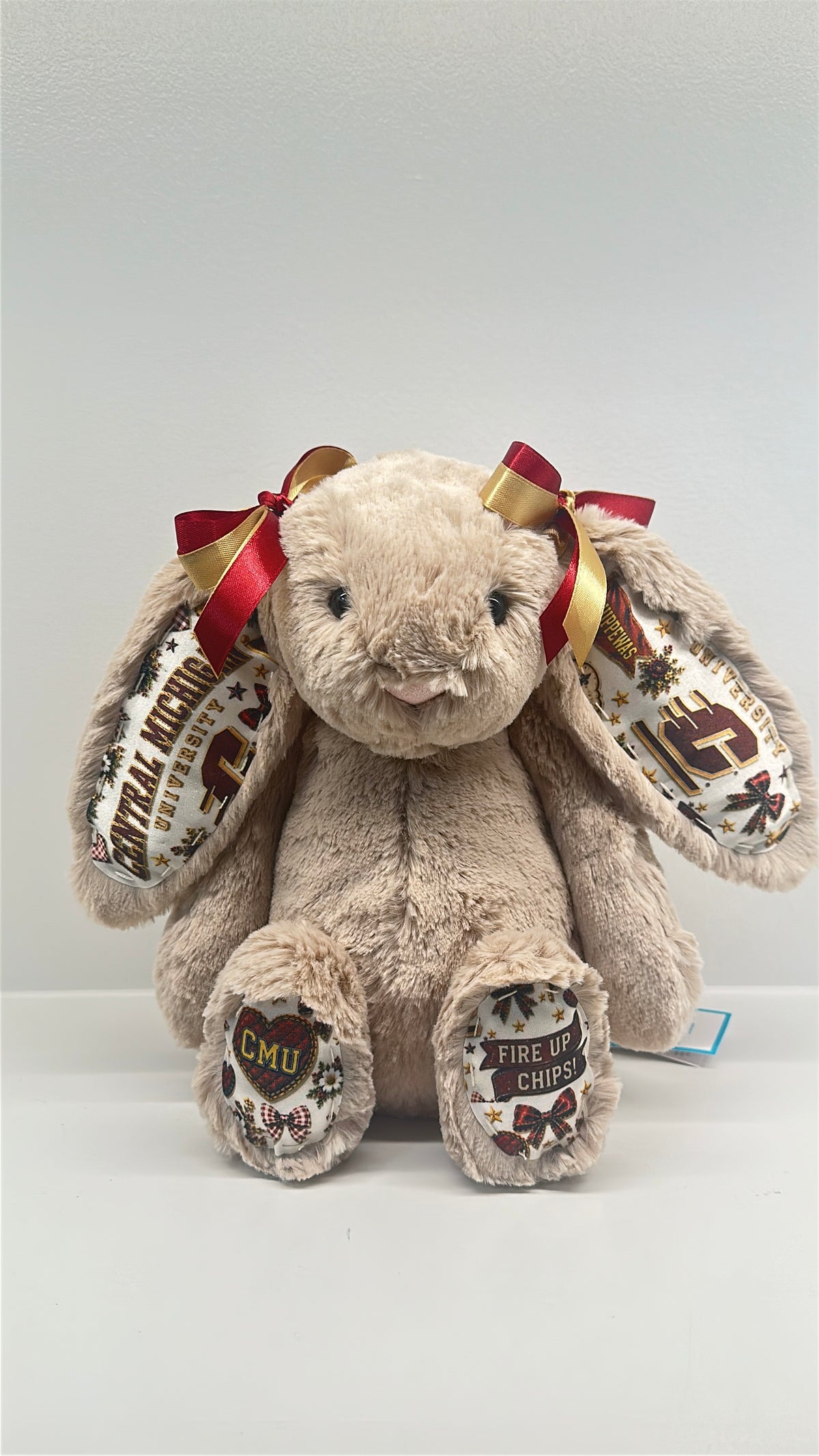 Custom College Plush