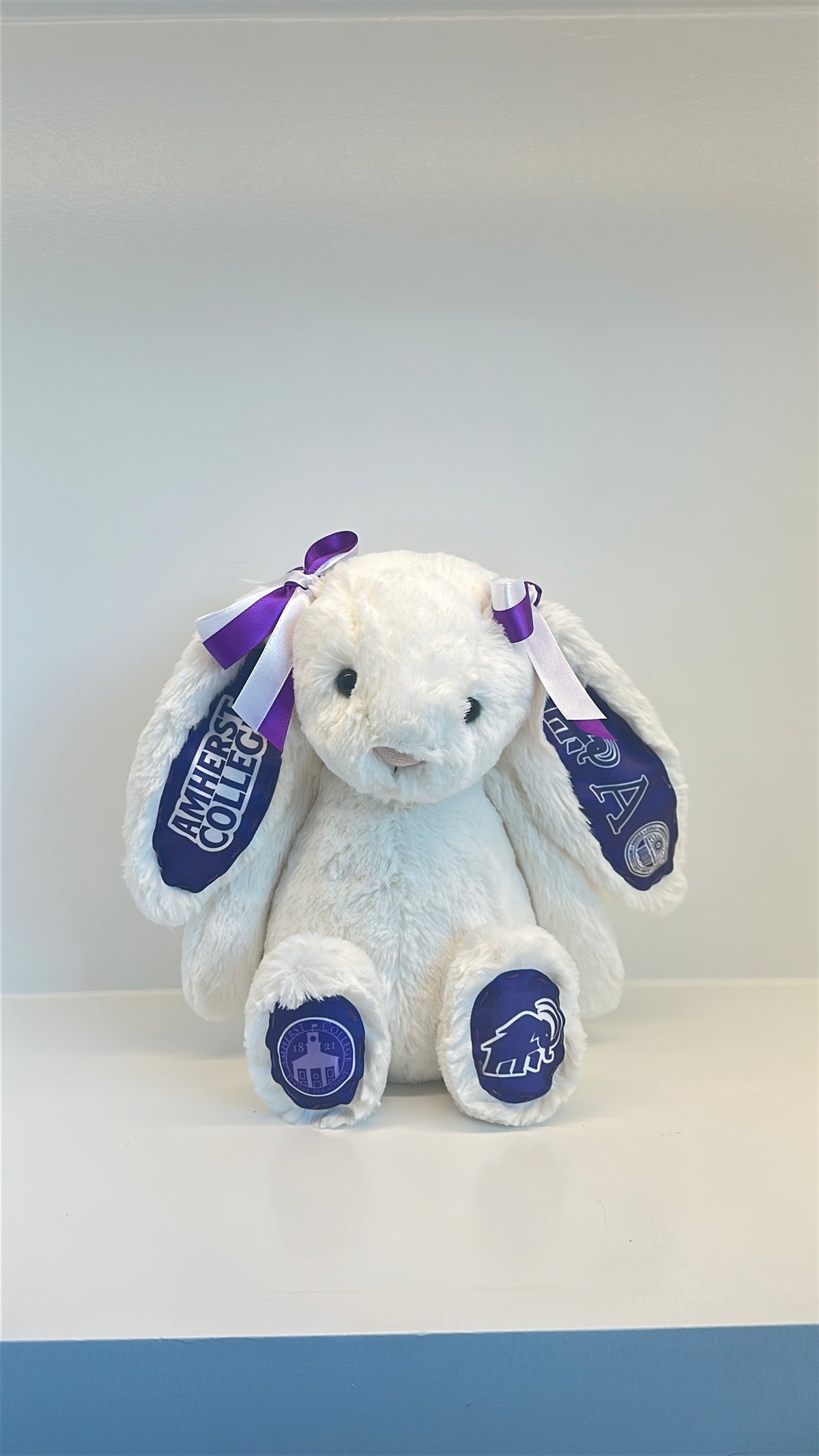 Custom College Plush