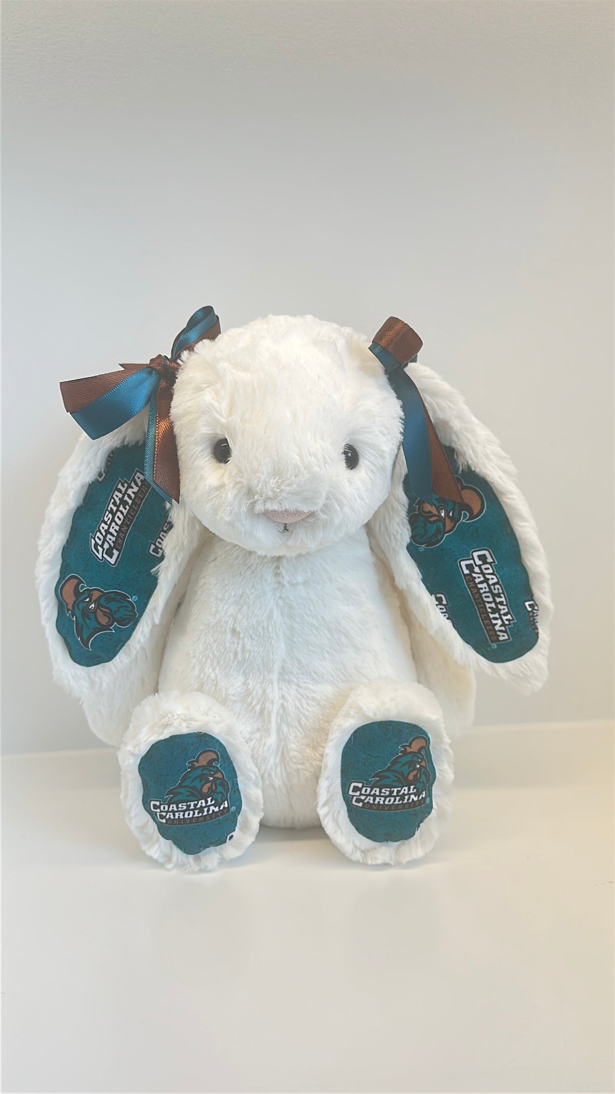 Custom College Plush