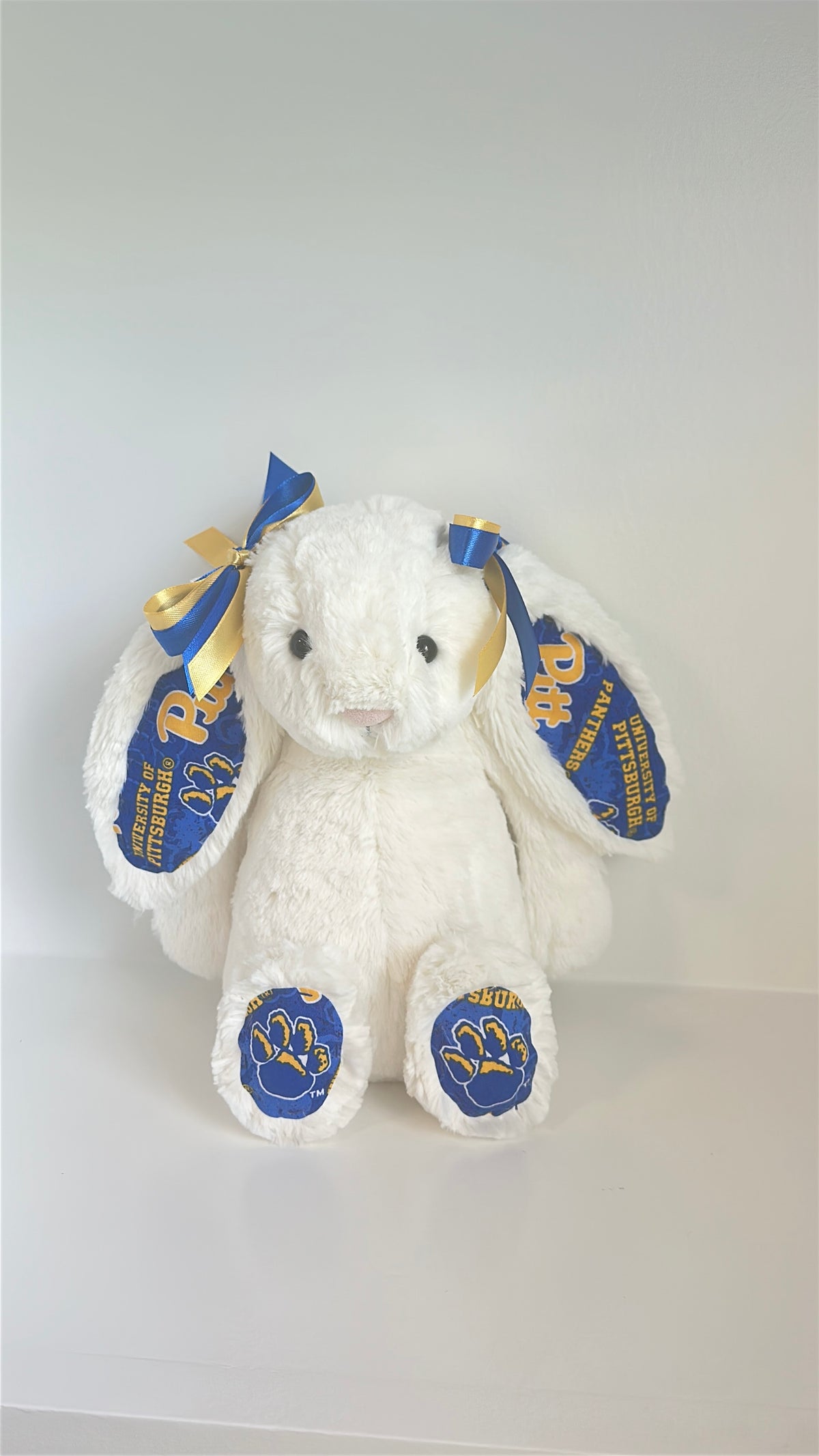 Custom College Plush