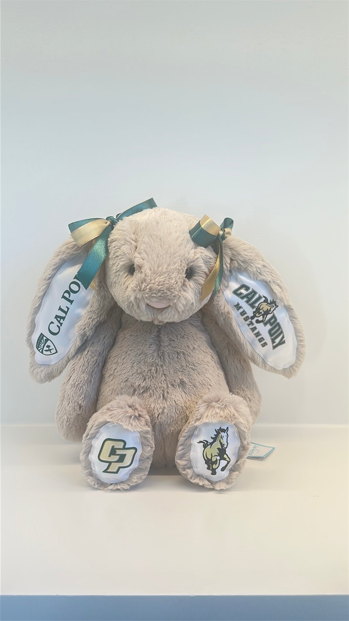 Custom College Plush