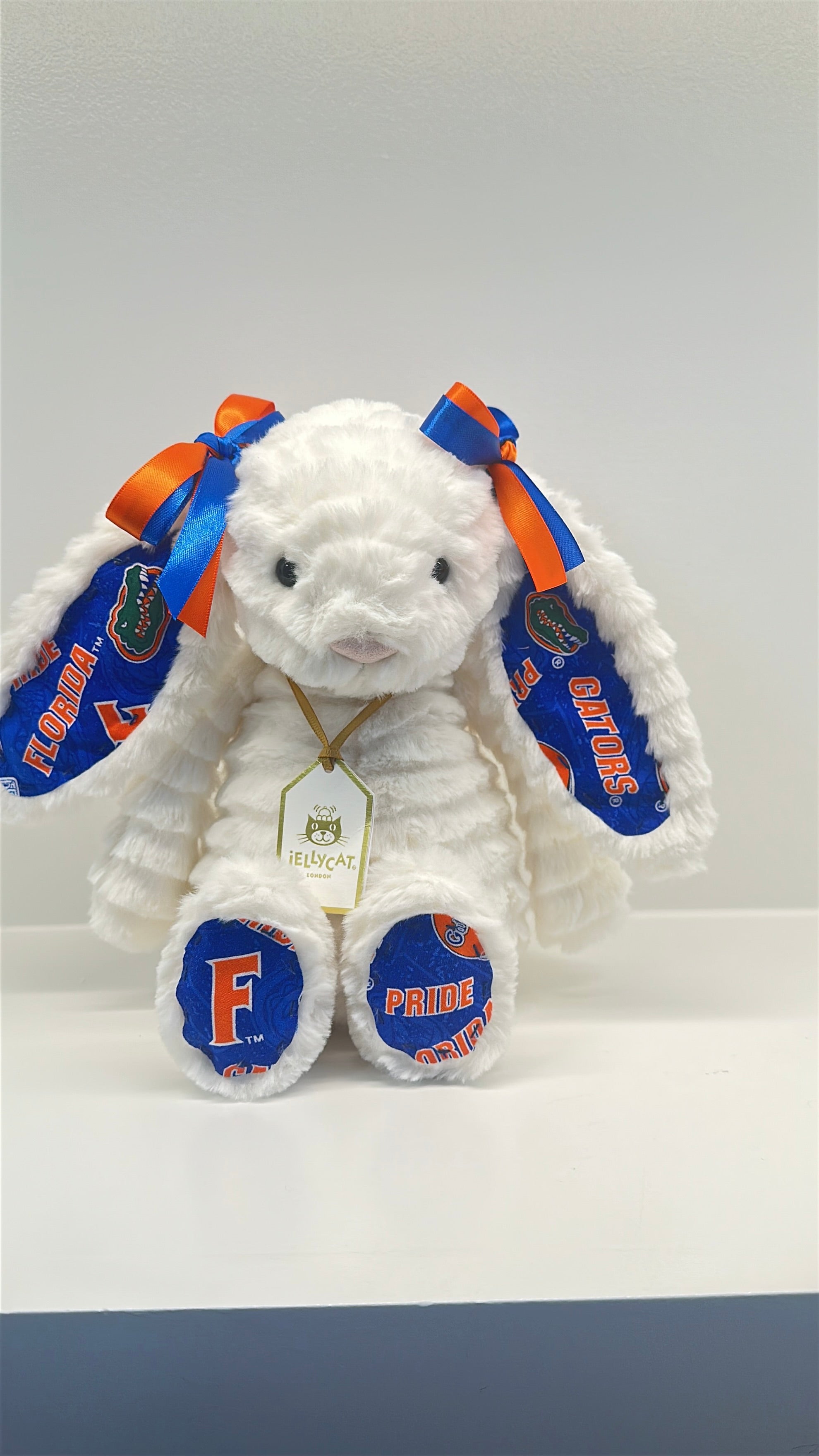 University of Florida Custom College Jellycat Bashful Bunny