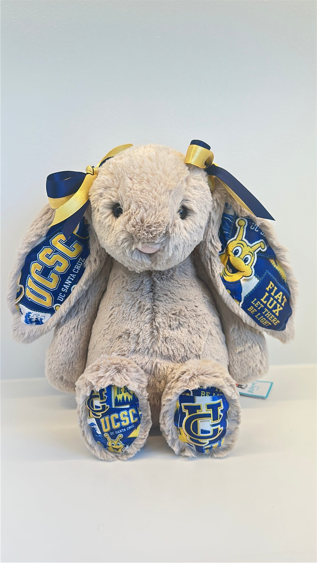 Custom College Plush
