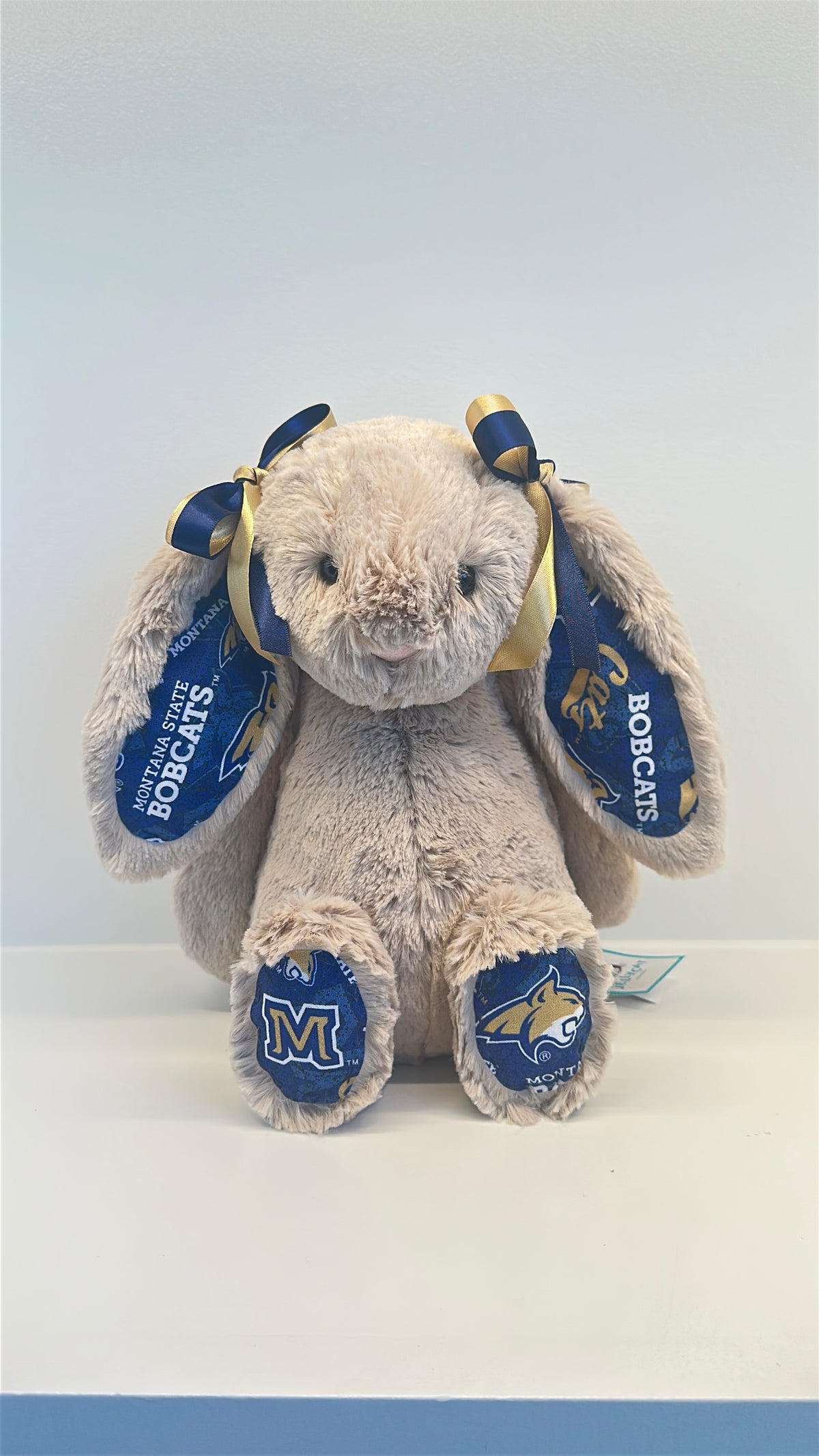 Custom College Plush
