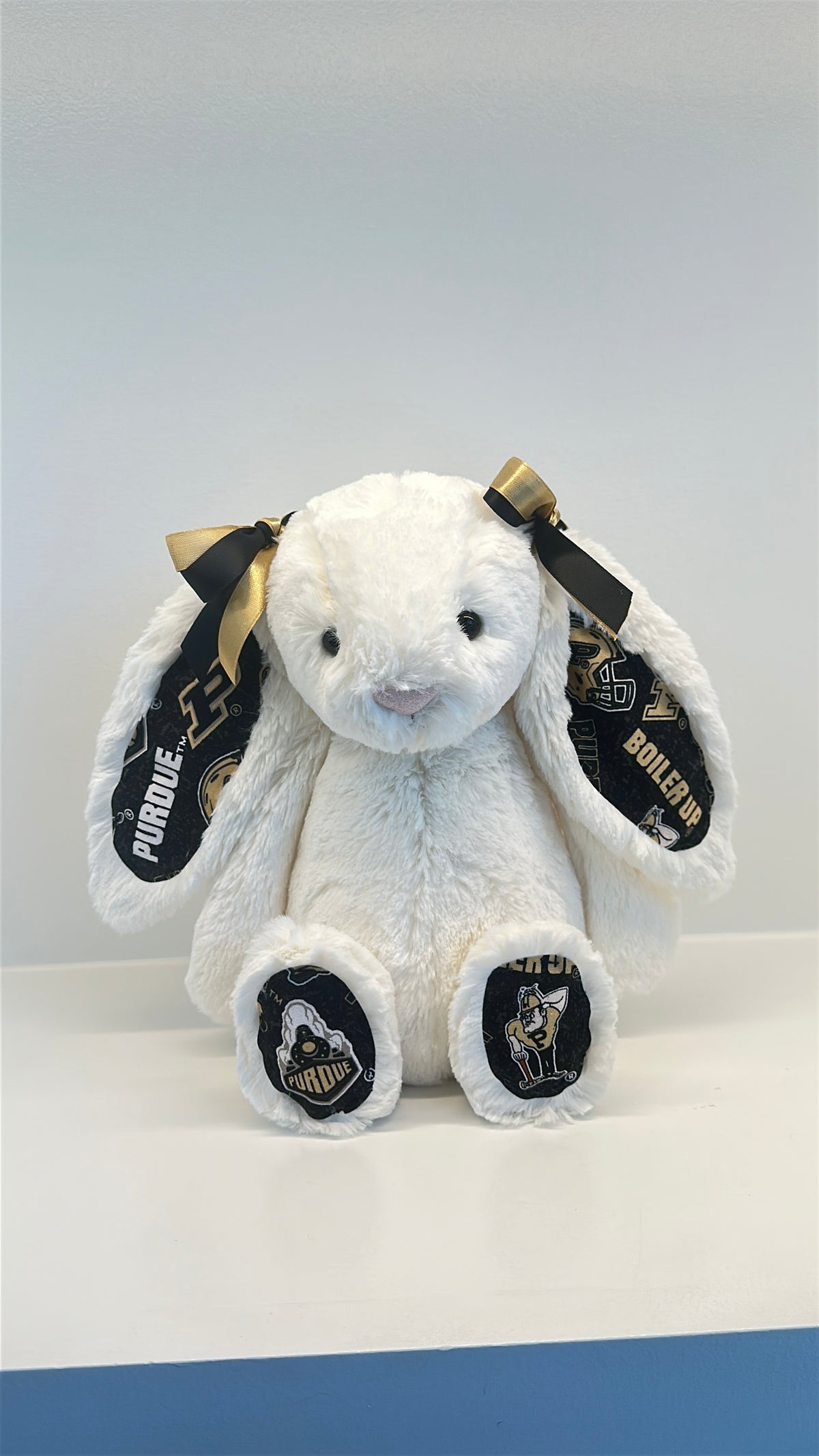 Custom College Plush