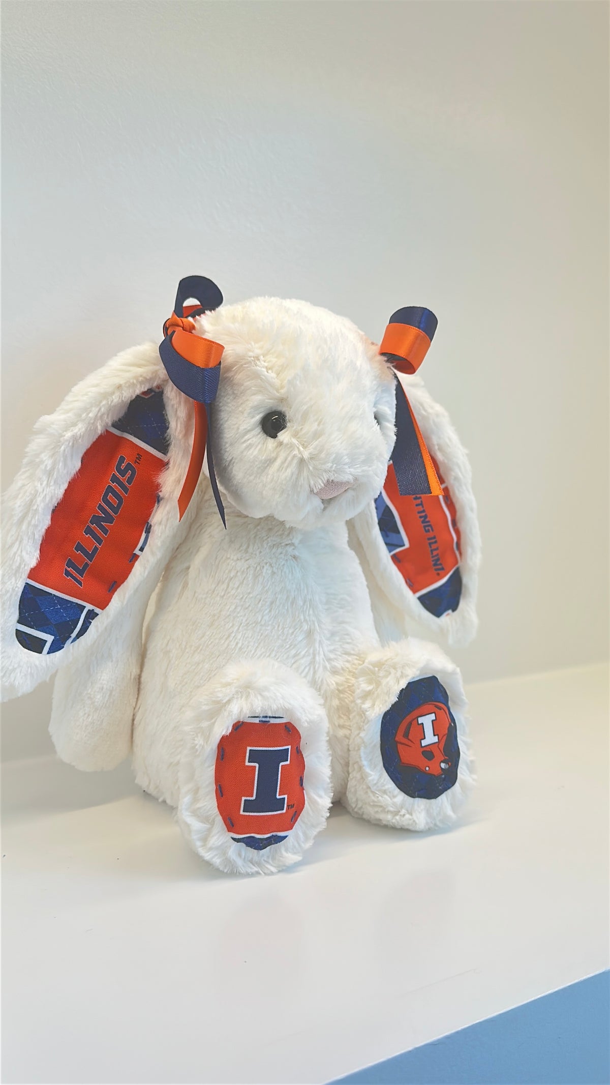 Illinois Fighting Illini College Jellycat Bunny