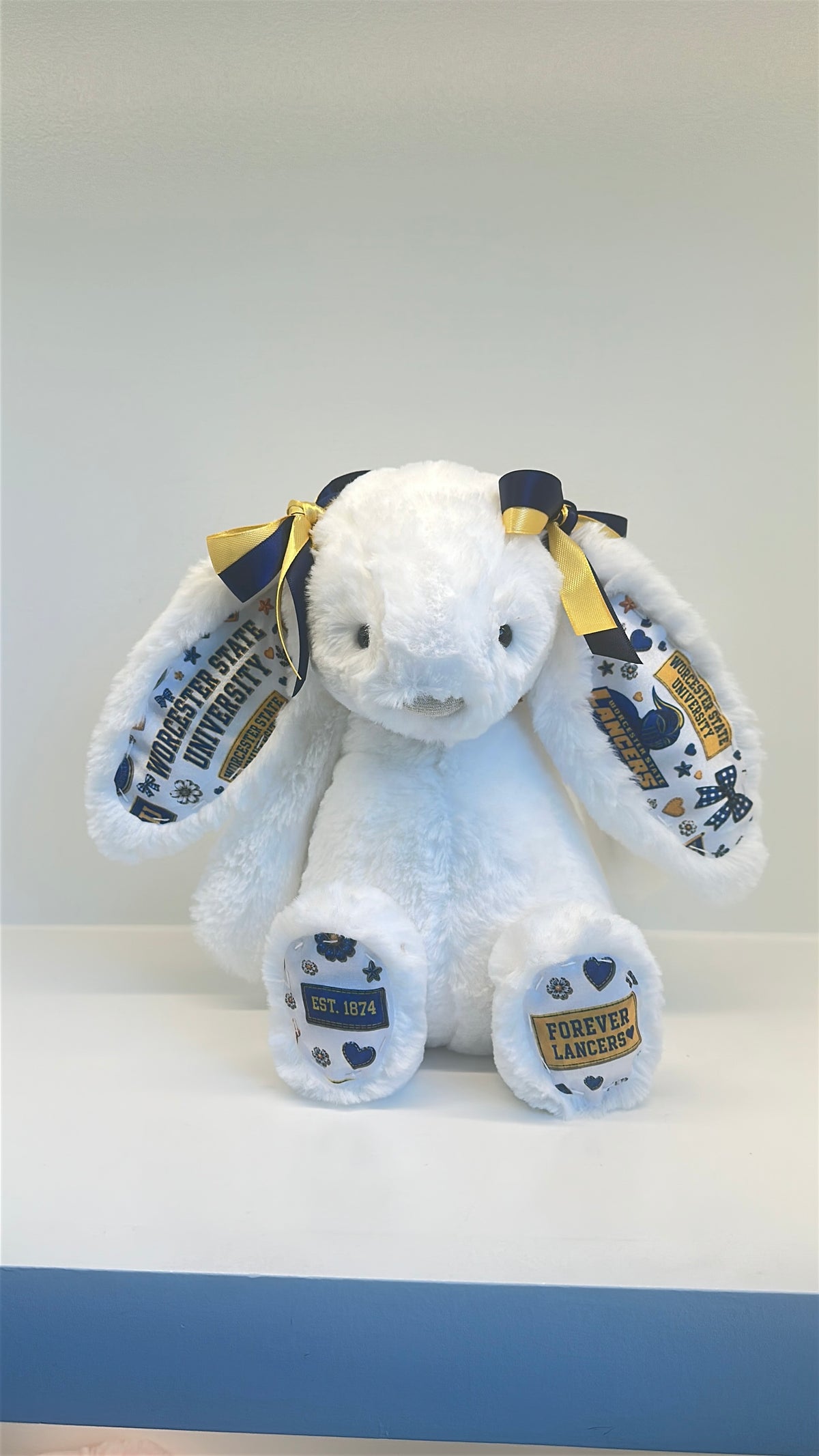 Custom College Plush