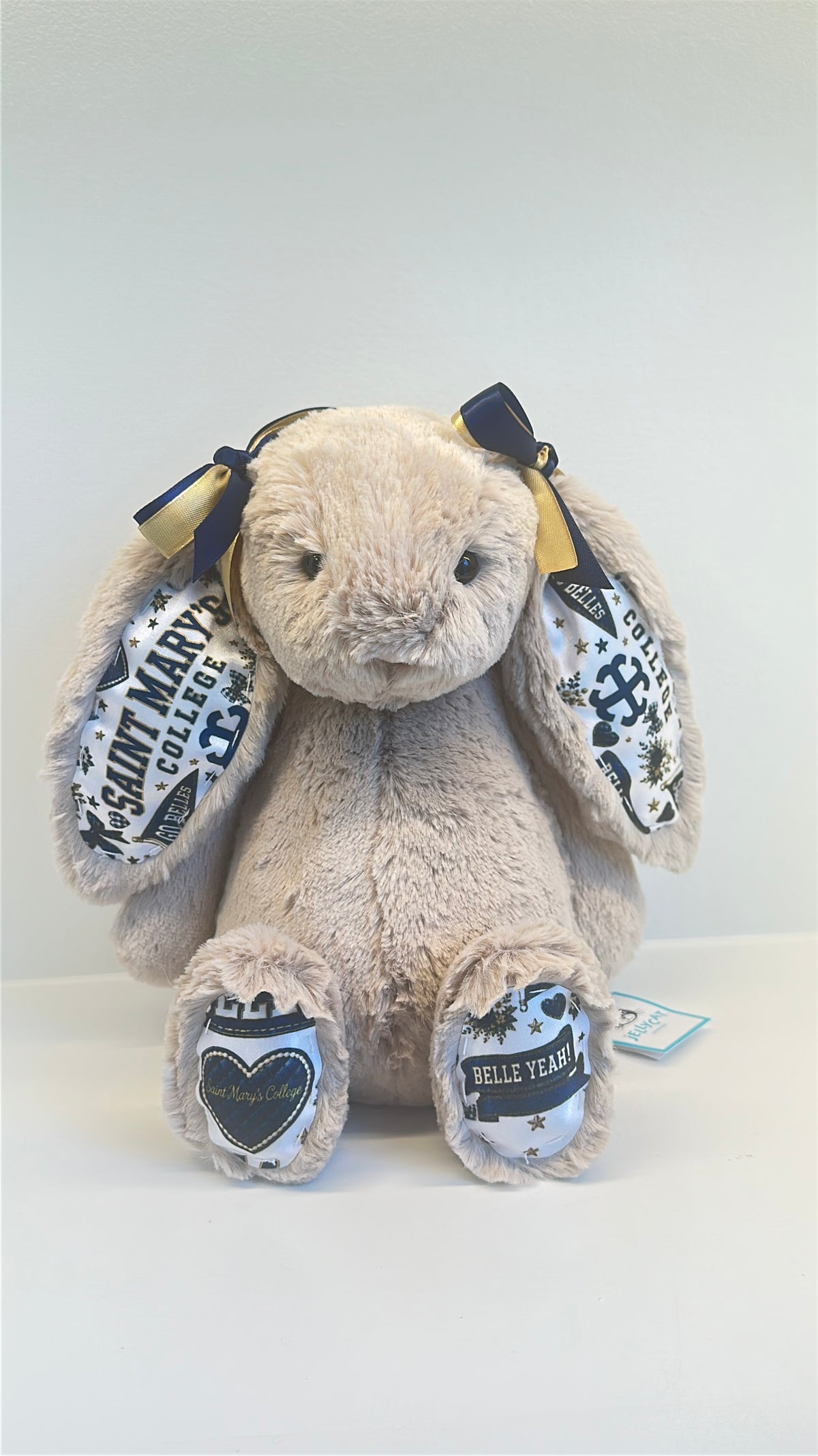 Custom College Plush