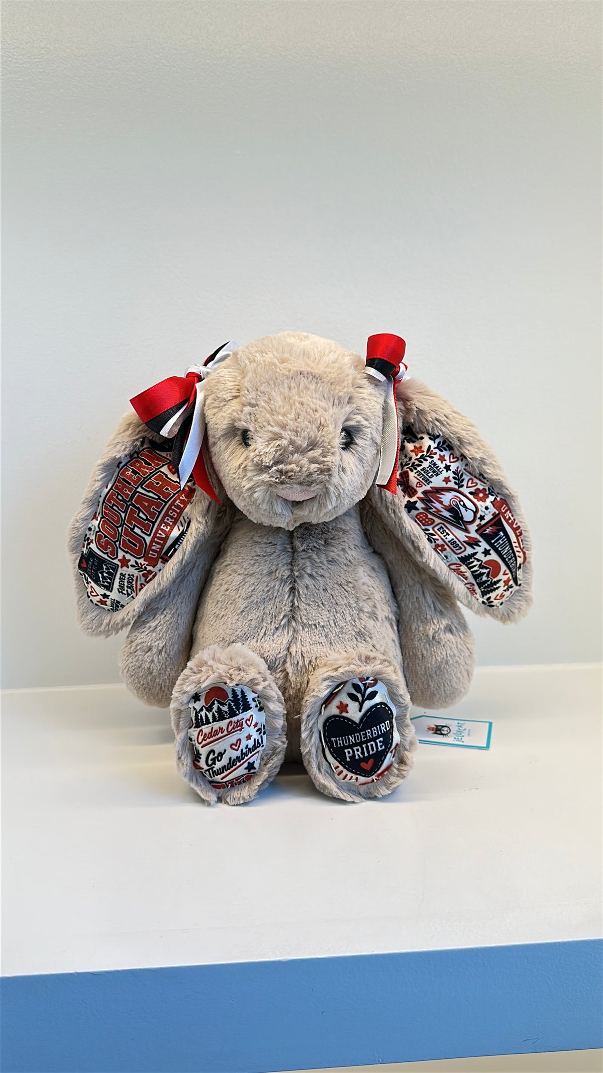 Custom College Plush