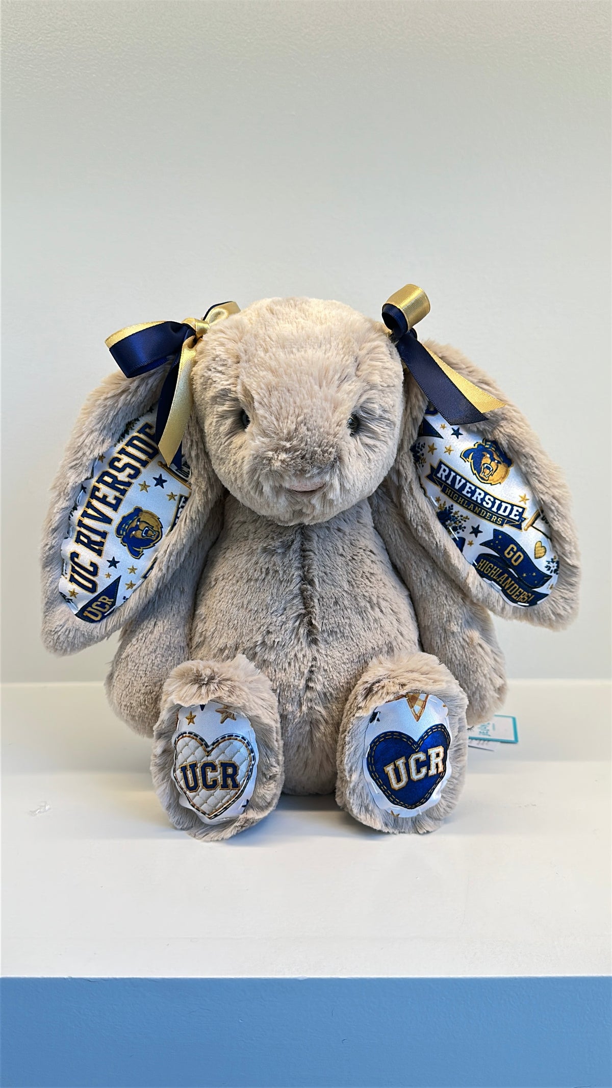 Custom College Plush
