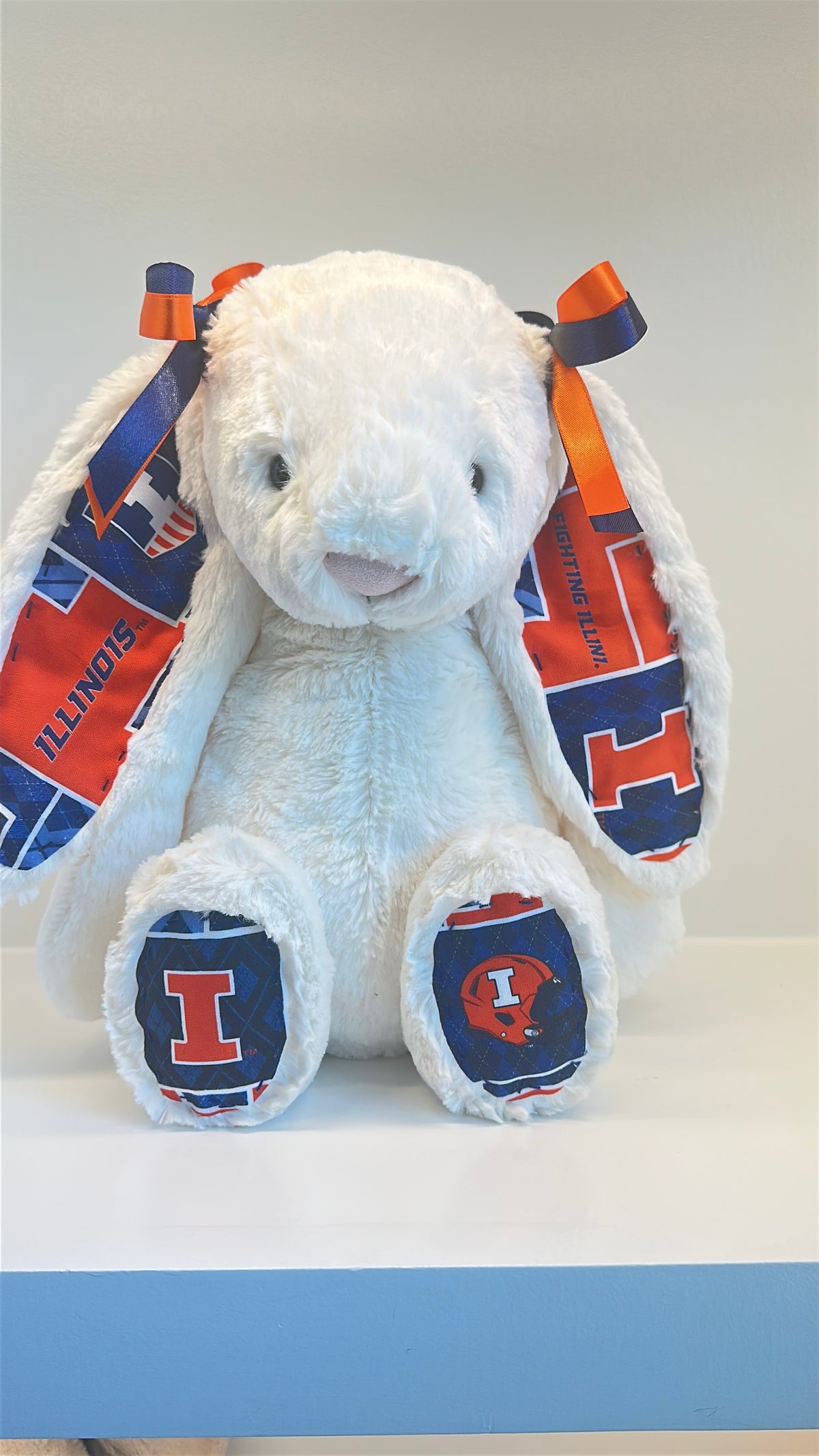 Illinois Fighting Illini College Jellycat Bunny