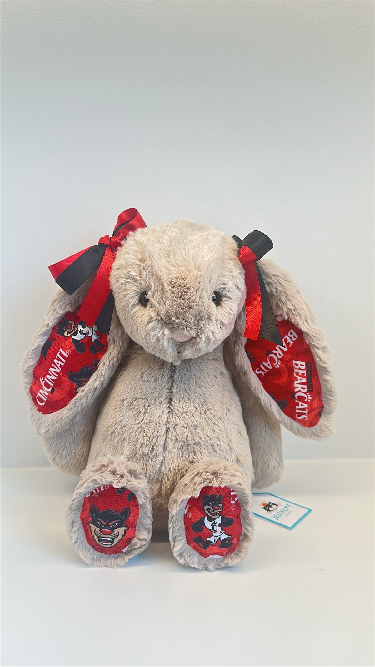 Custom College Plush