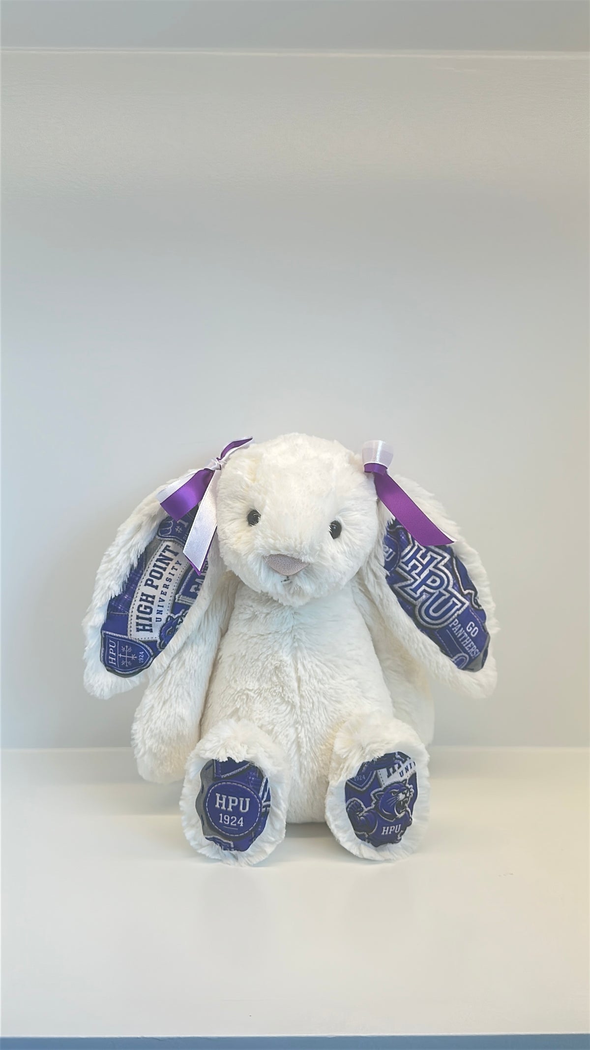 Custom College Plush