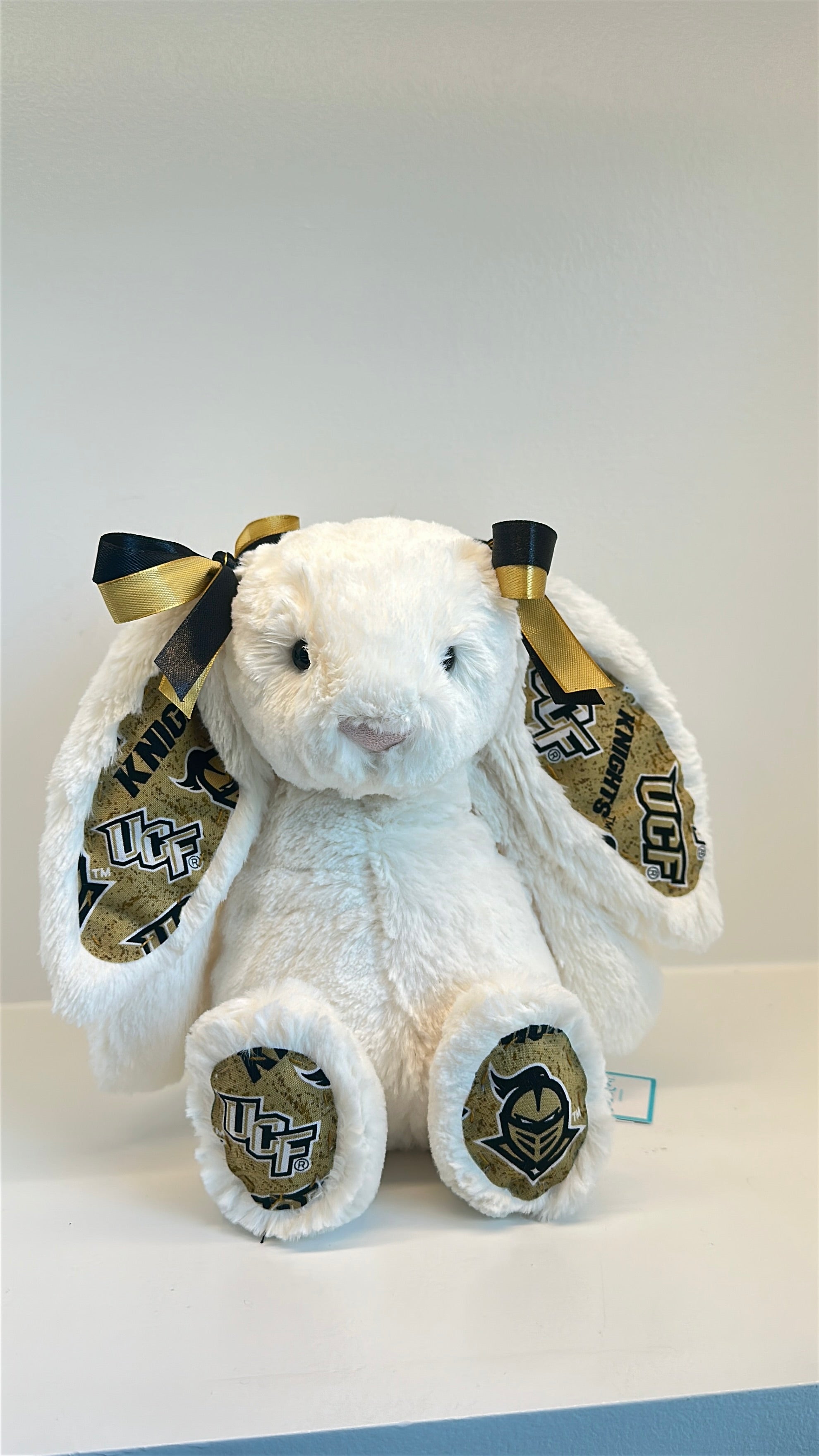 University of Central Florida (UCF) College Jellycat Bunny