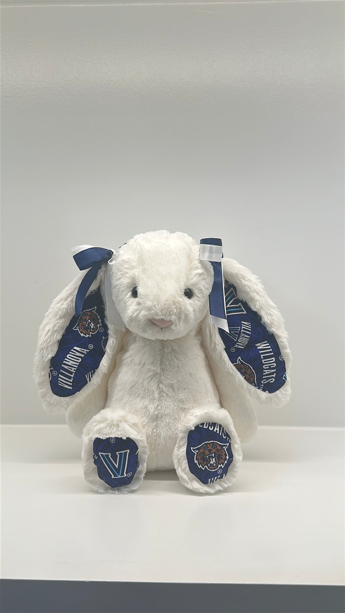 Custom College Plush