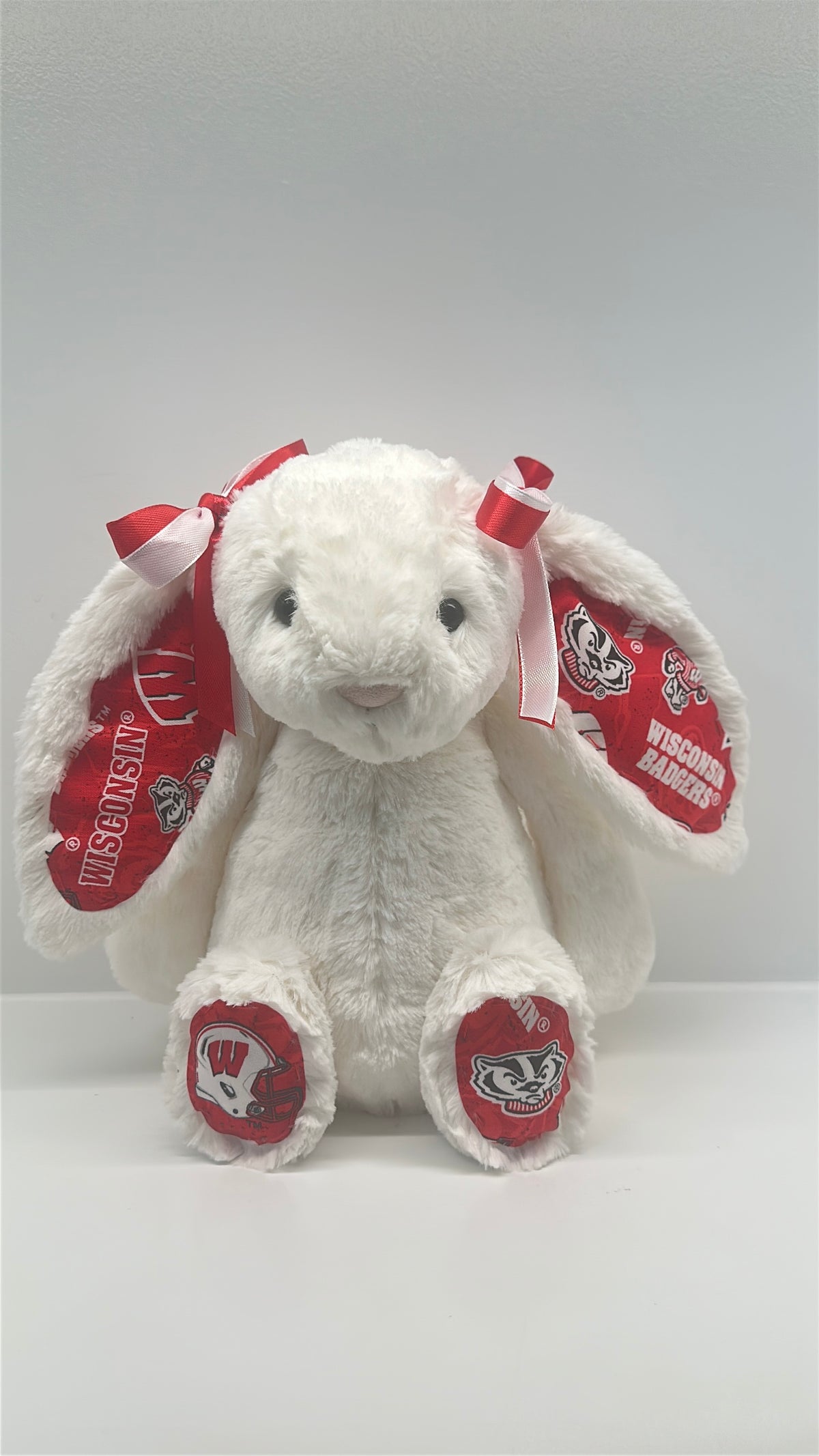 Custom College Plush