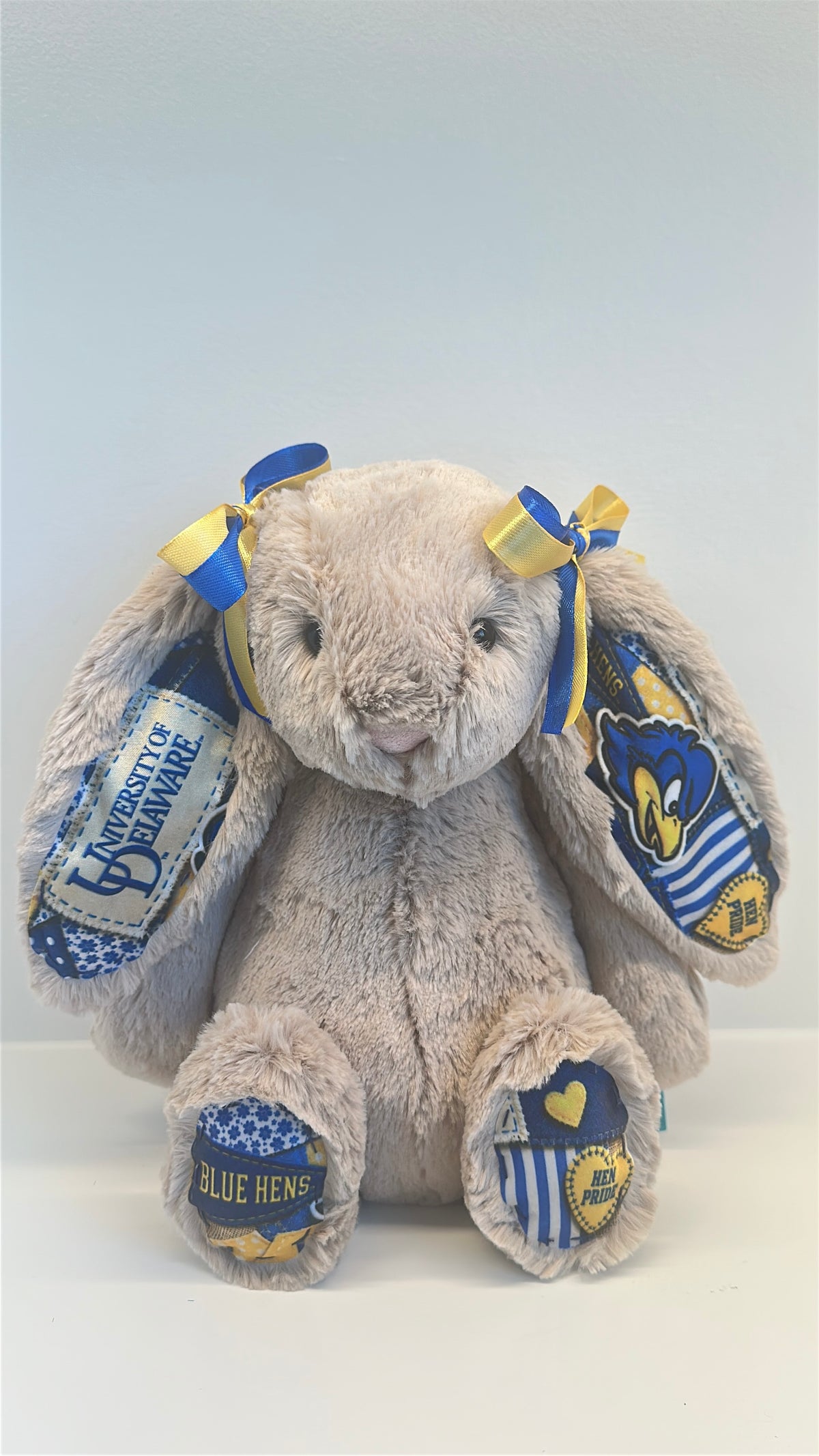 Custom College Plush