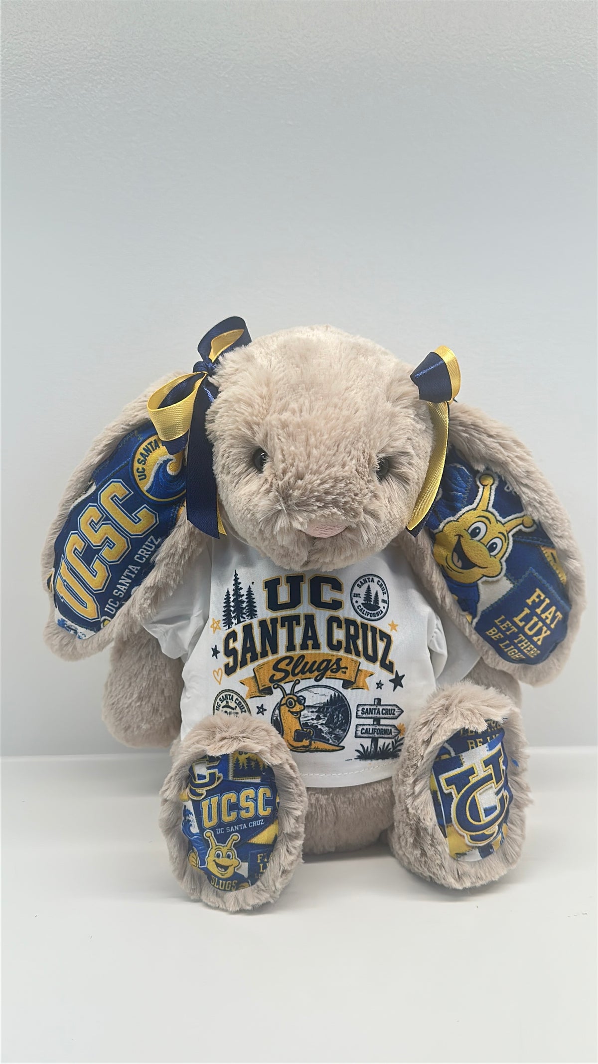 Custom College Plush