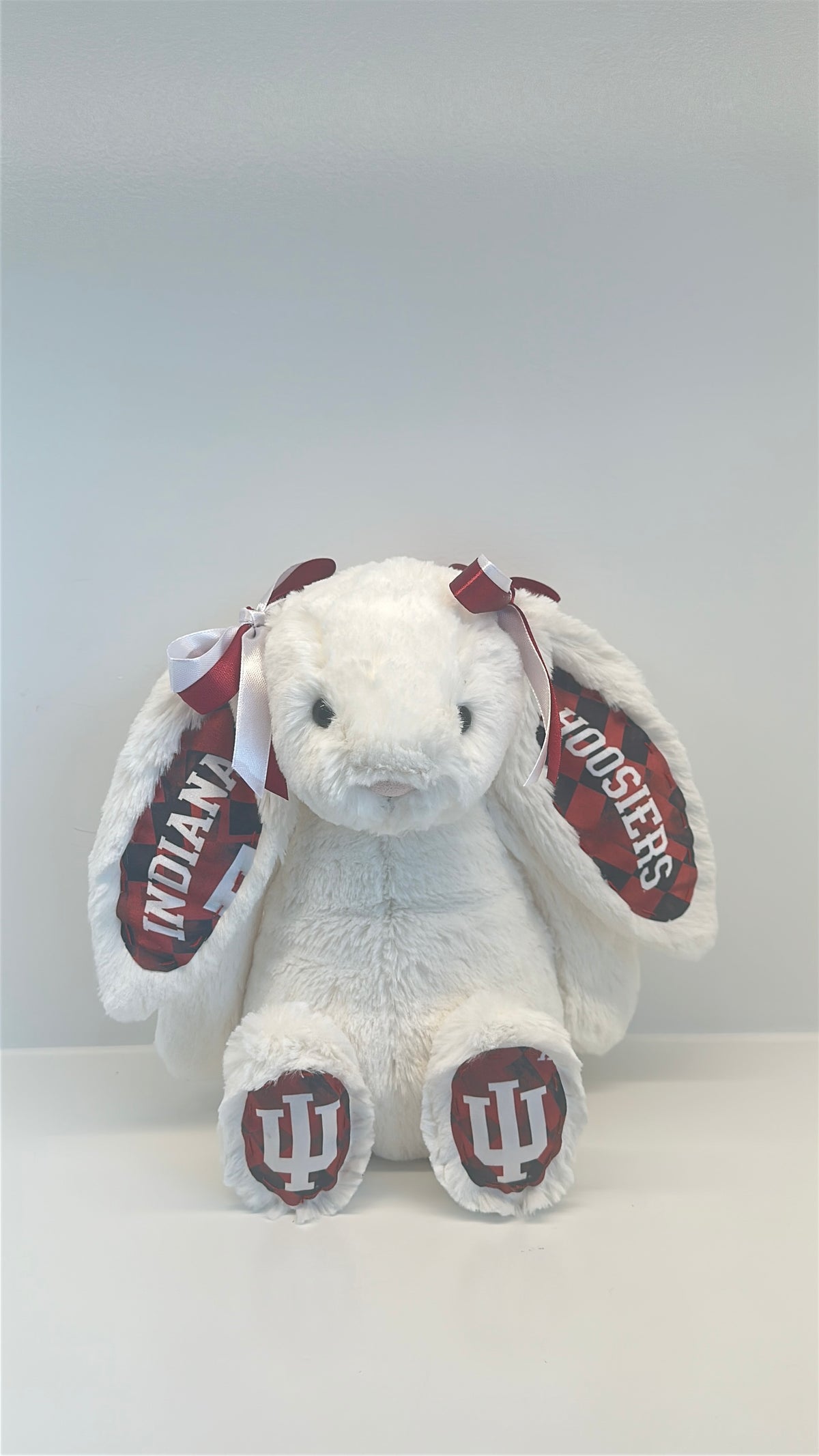 Custom College Plush