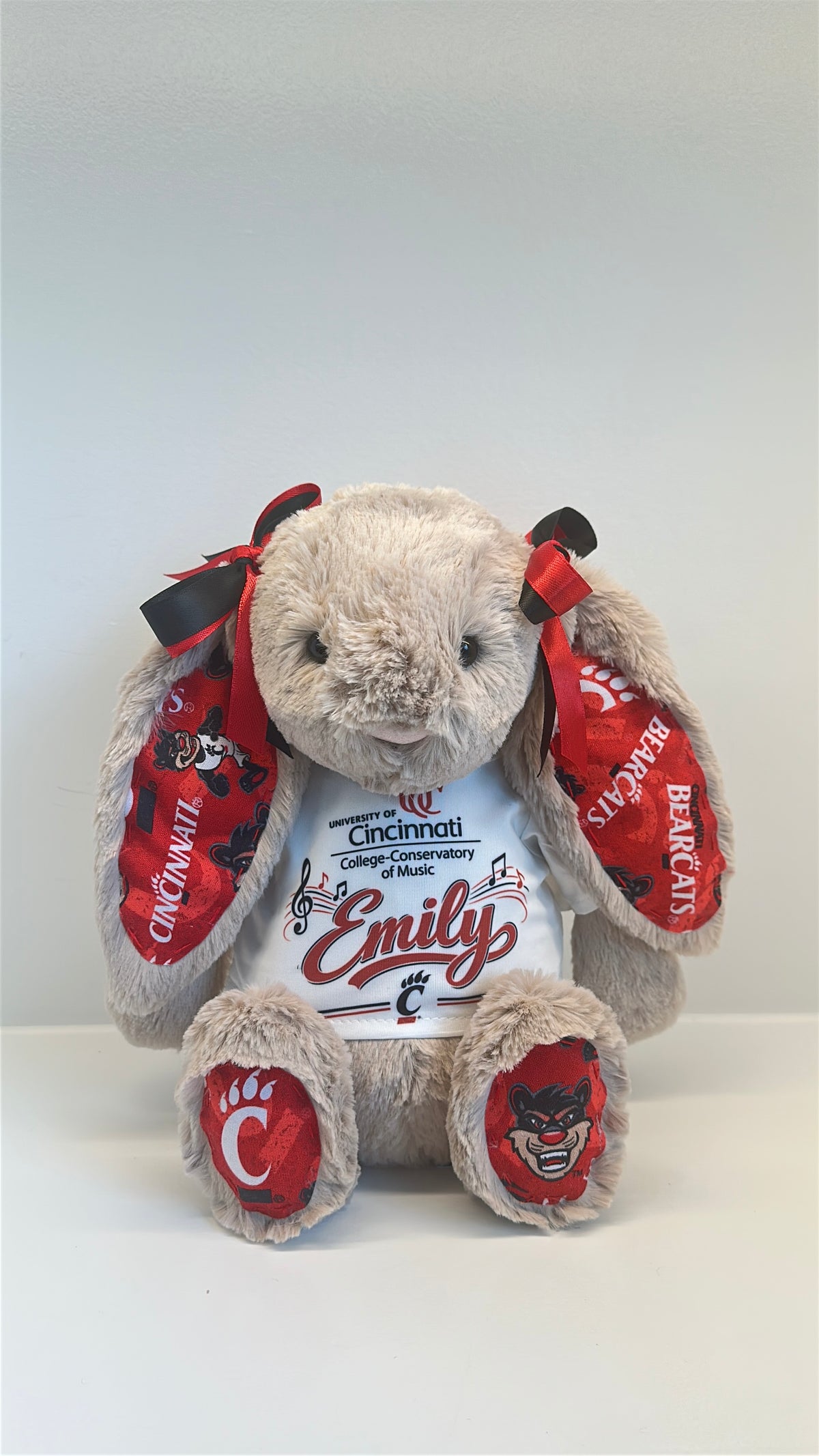 Custom College Plush