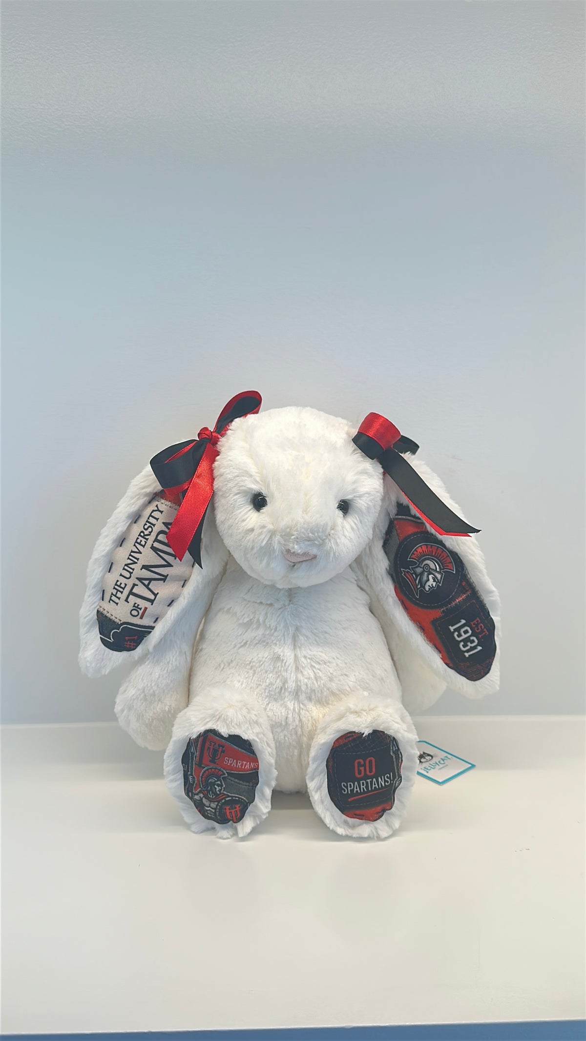 Custom College Plush