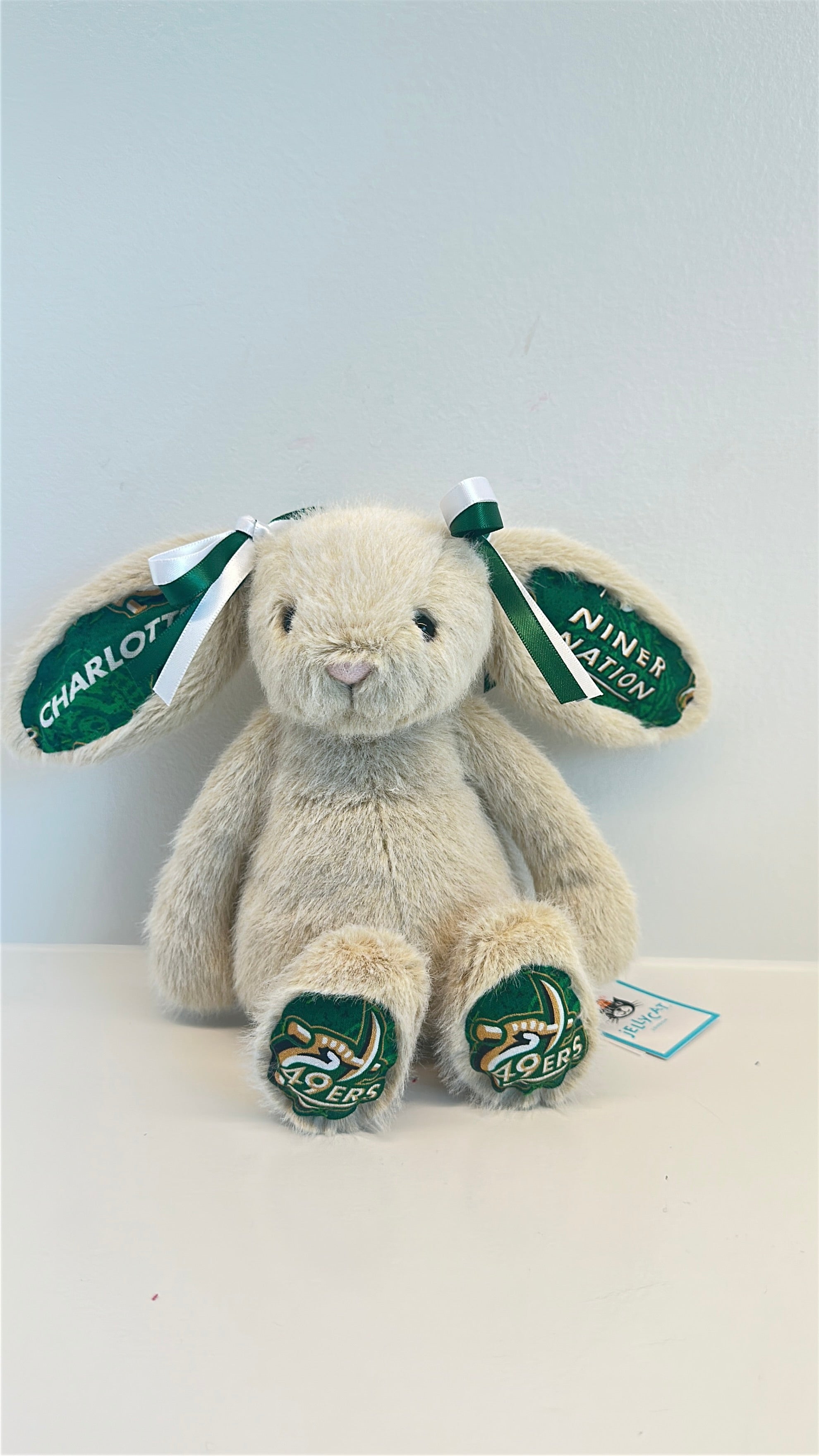 University of North Carolina at Charlotte (UNC Charlotte) College Jellycat Bunny