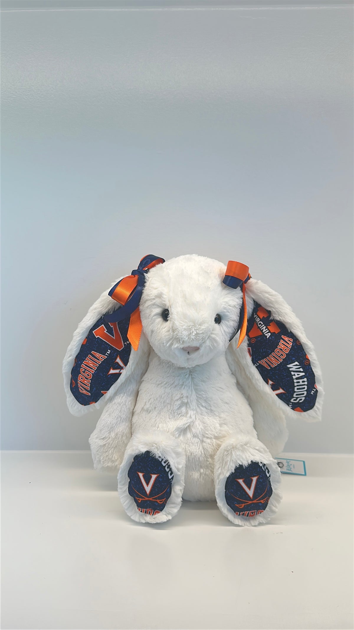Custom College Plush
