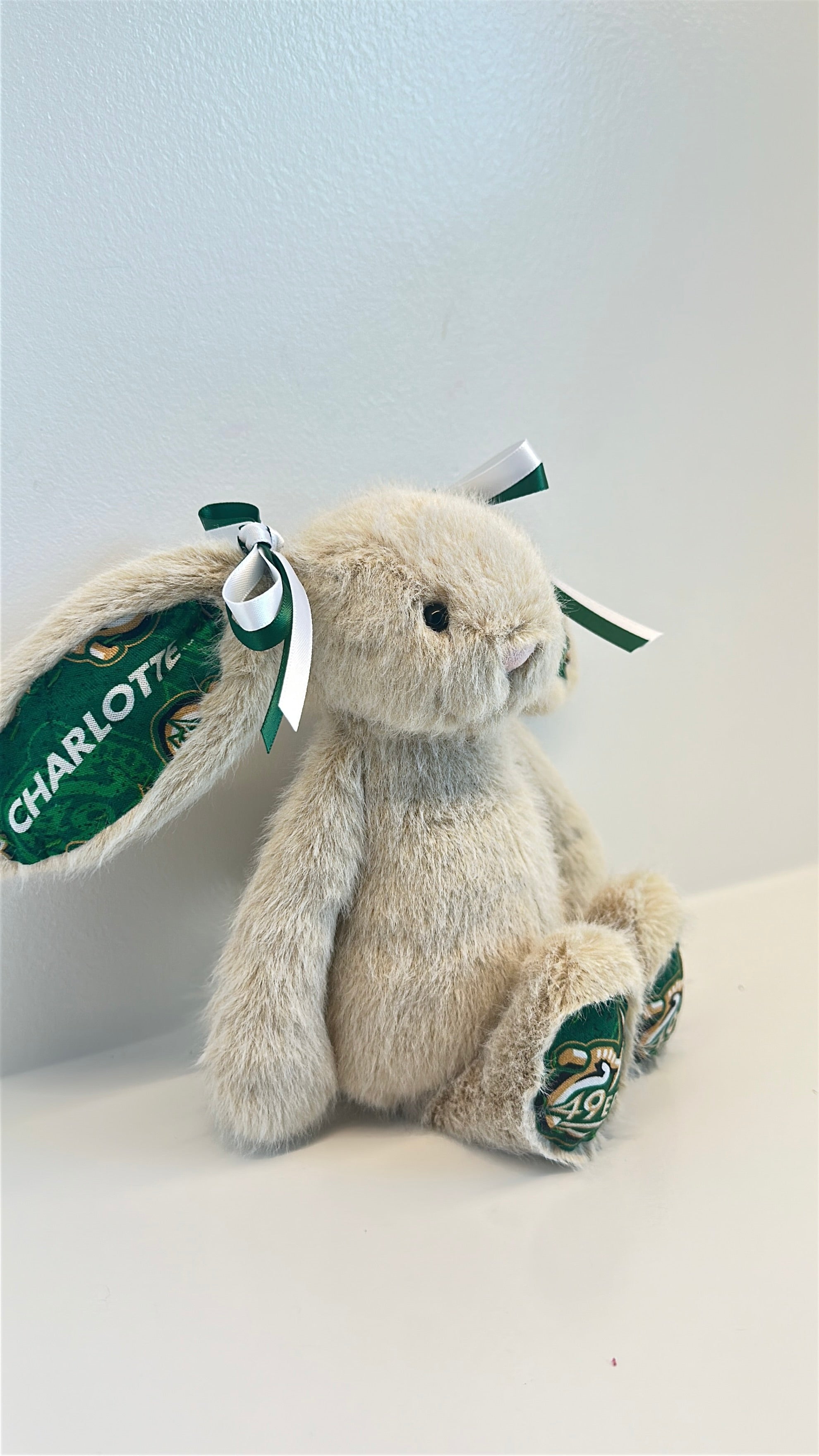 University of North Carolina at Charlotte (UNC Charlotte) College Jellycat Bunny