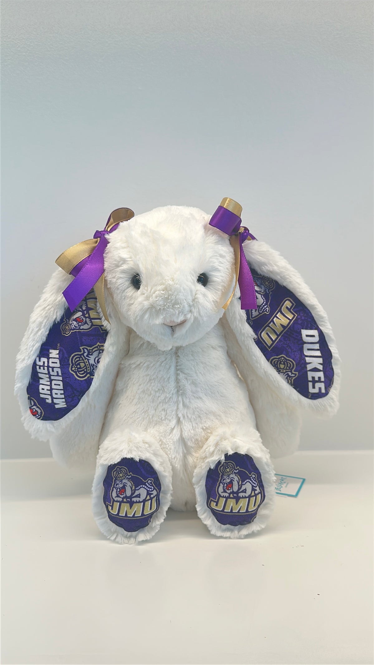 Custom College Plush