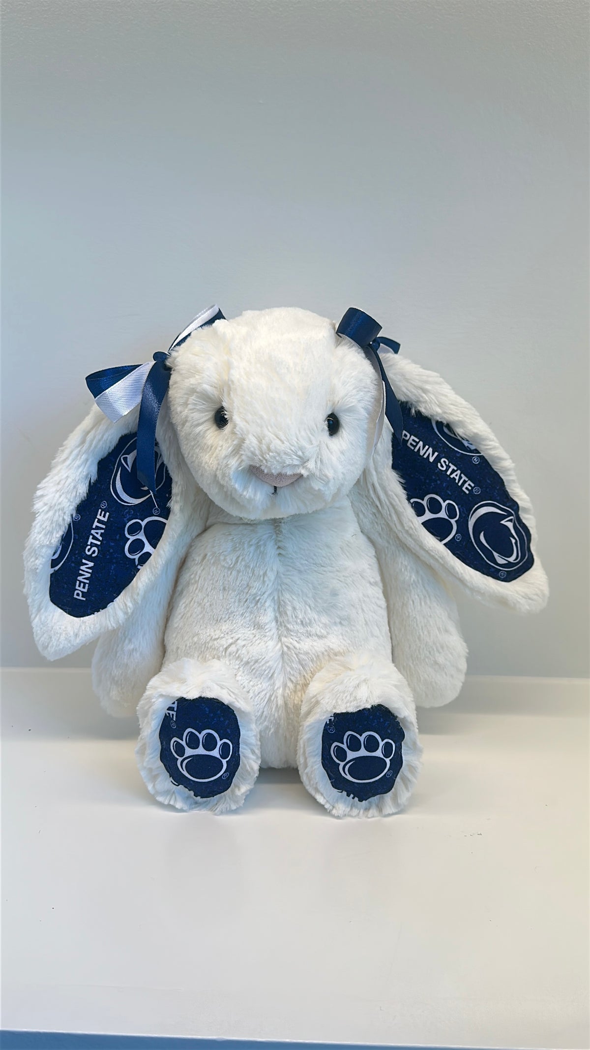 Custom College Plush