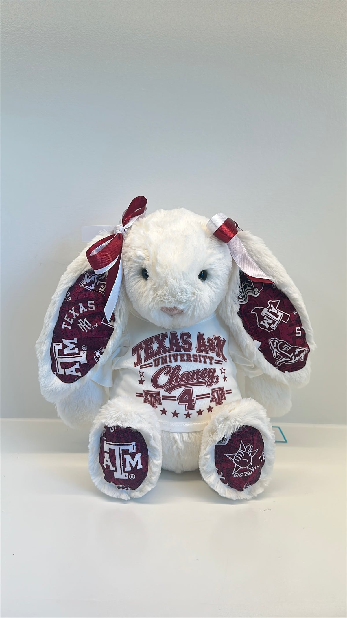 Custom College Plush