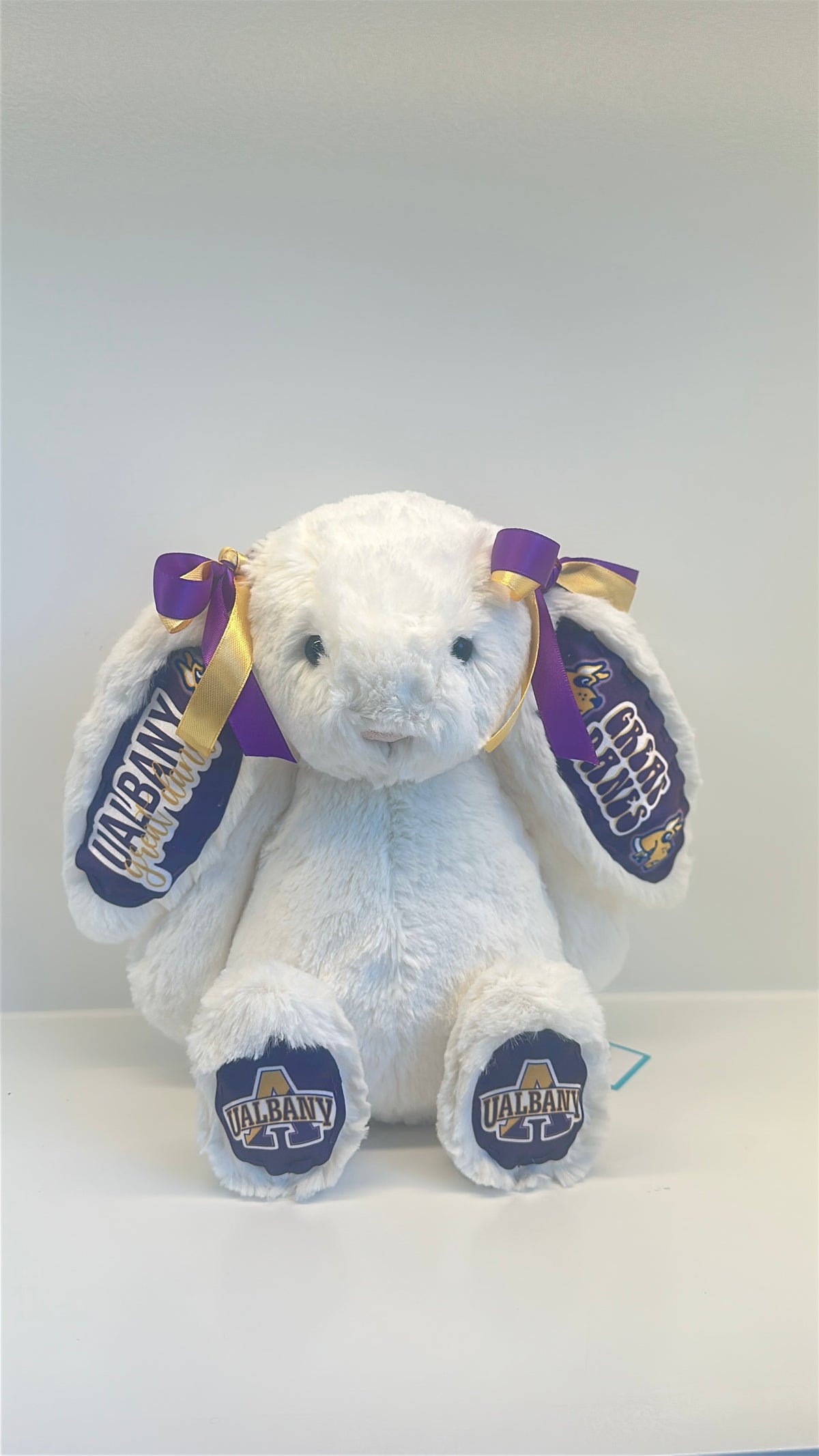 Custom College Plush