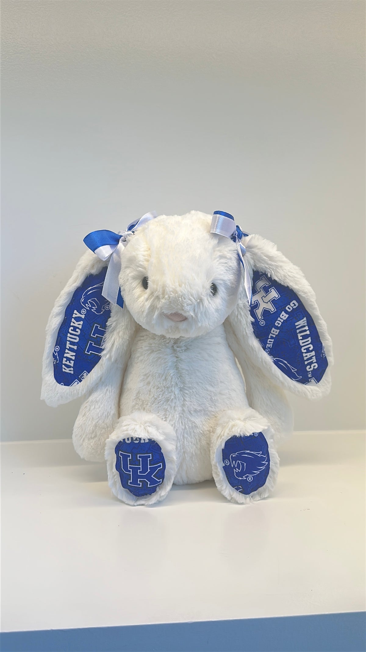 Custom College Plush