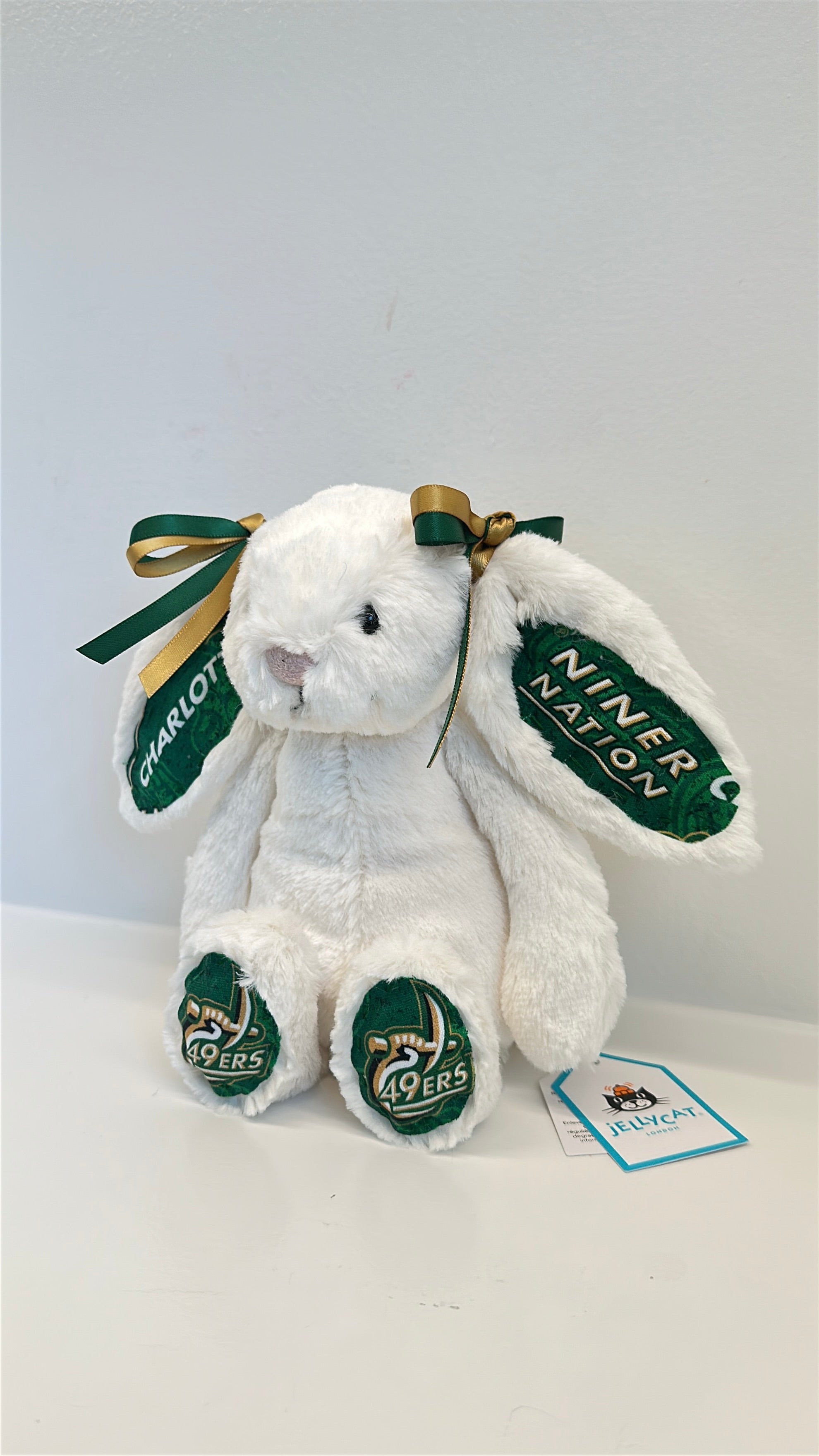 University of North Carolina at Charlotte (UNC Charlotte) College Jellycat Bunny