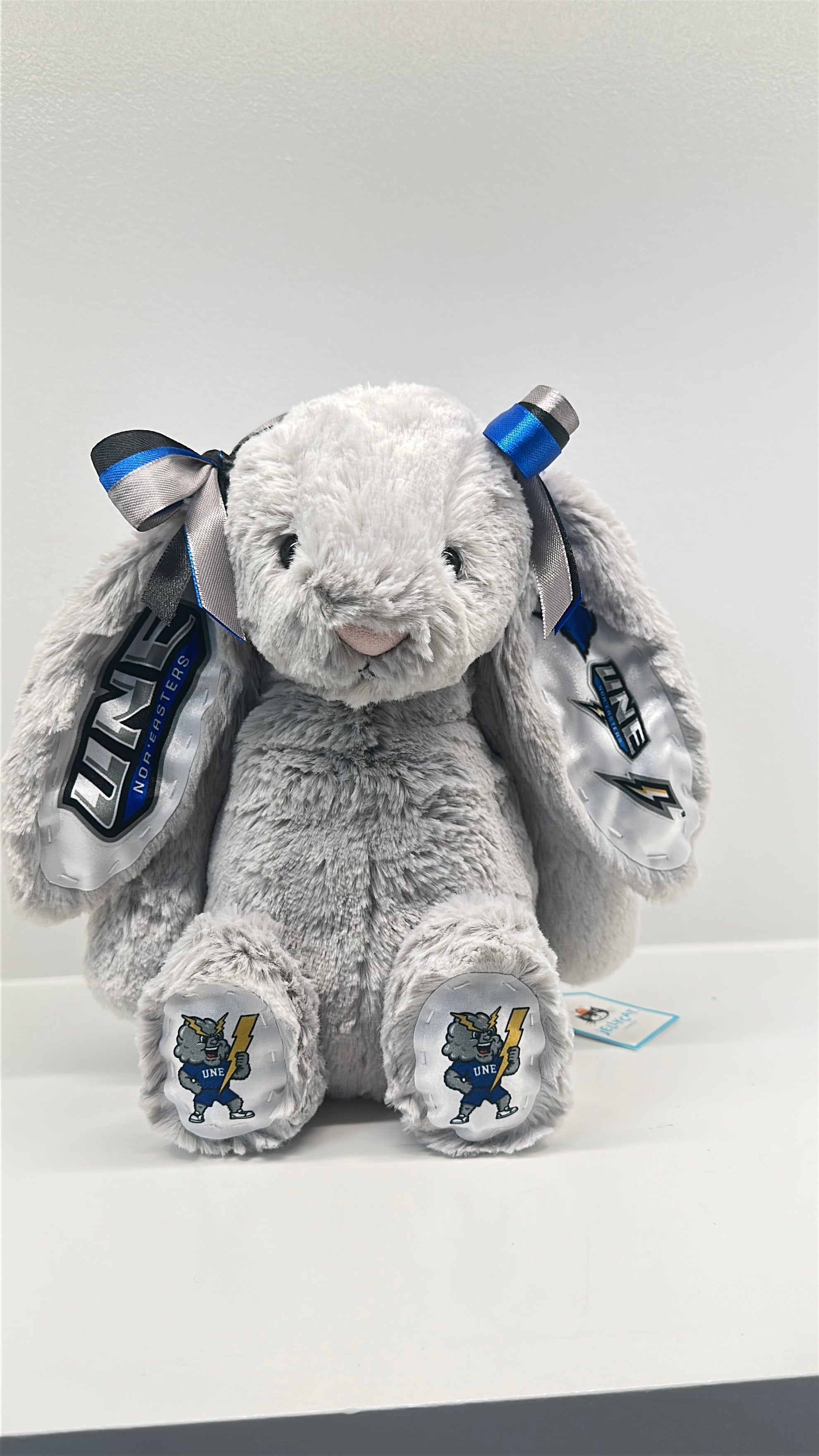 University of New England (UNE) Fully Custom College Jellycat Bunny