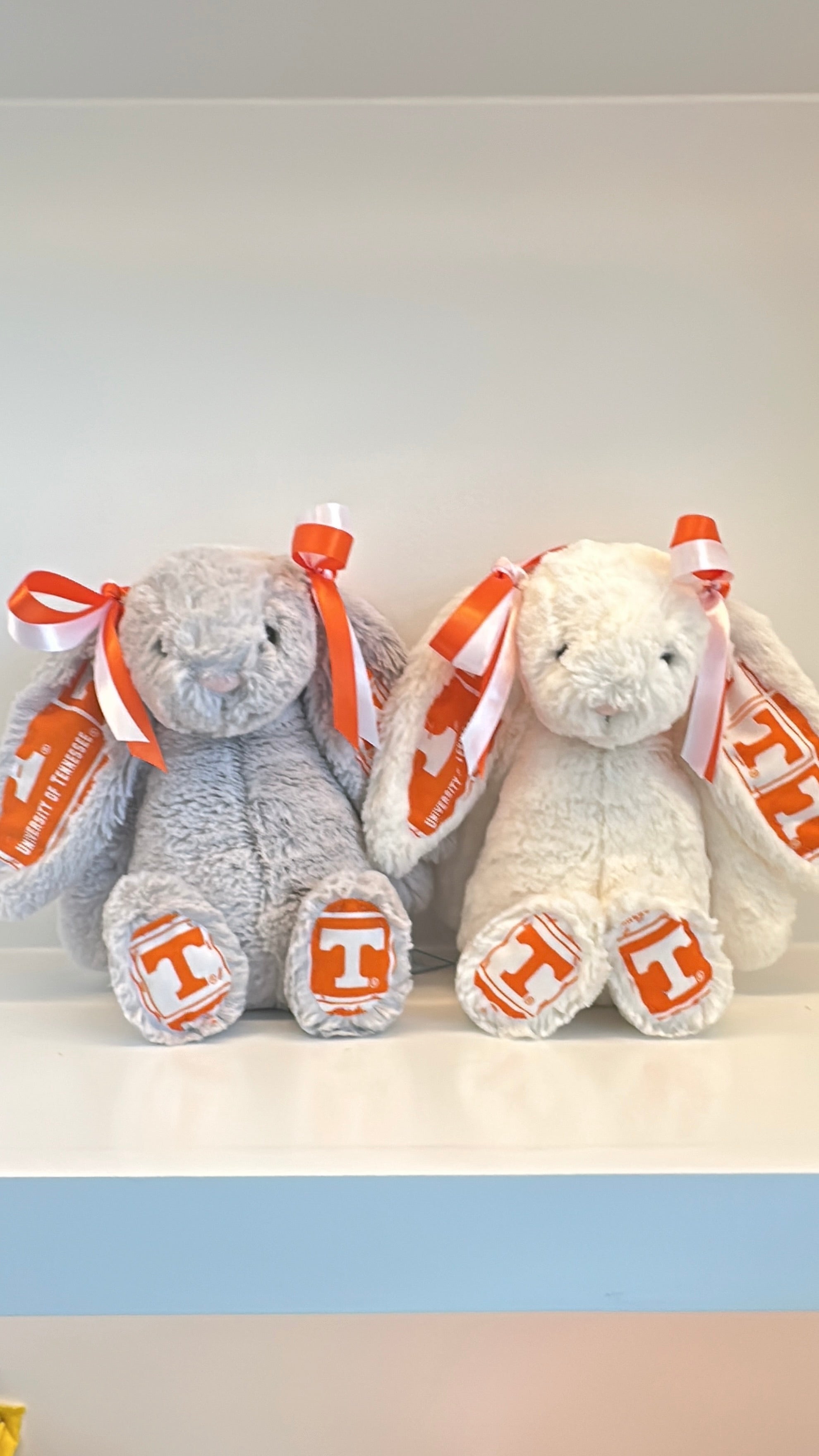 University of Tennessee Custom College Jellycat Bashful Bunny