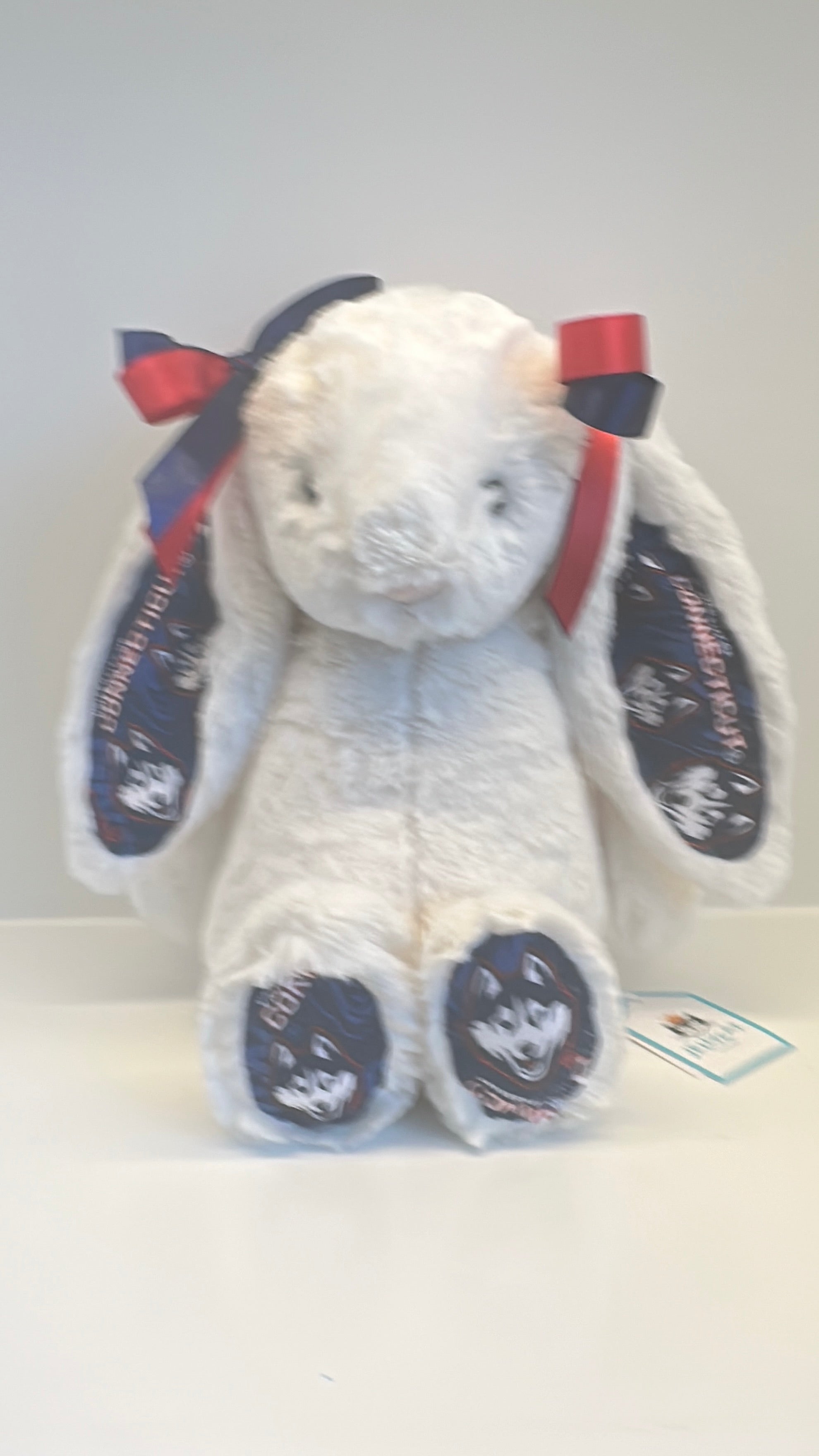 University of Connecticut Custom College Jellycat Bashful Bunny