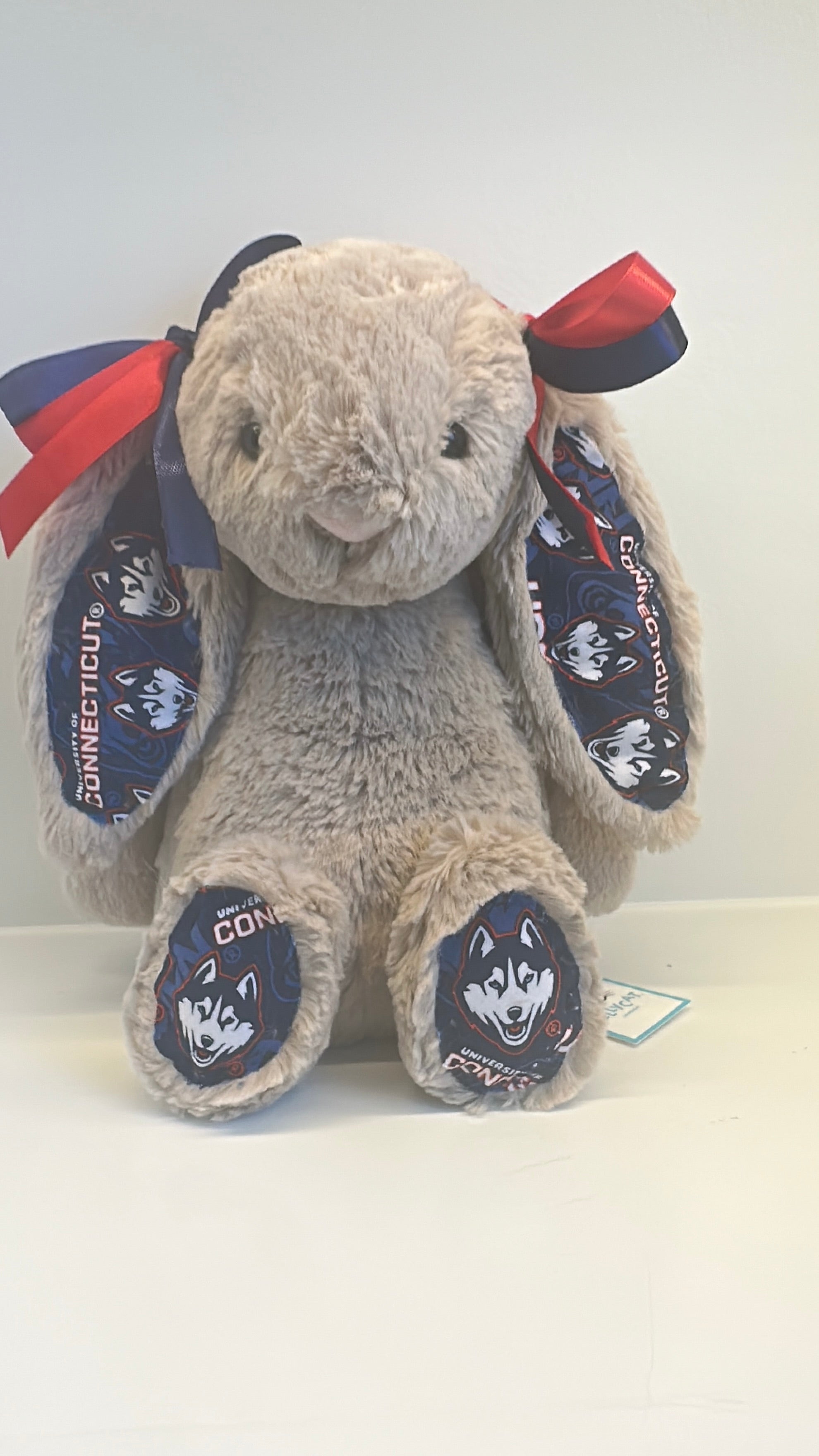 University of Connecticut Custom College Jellycat Bashful Bunny