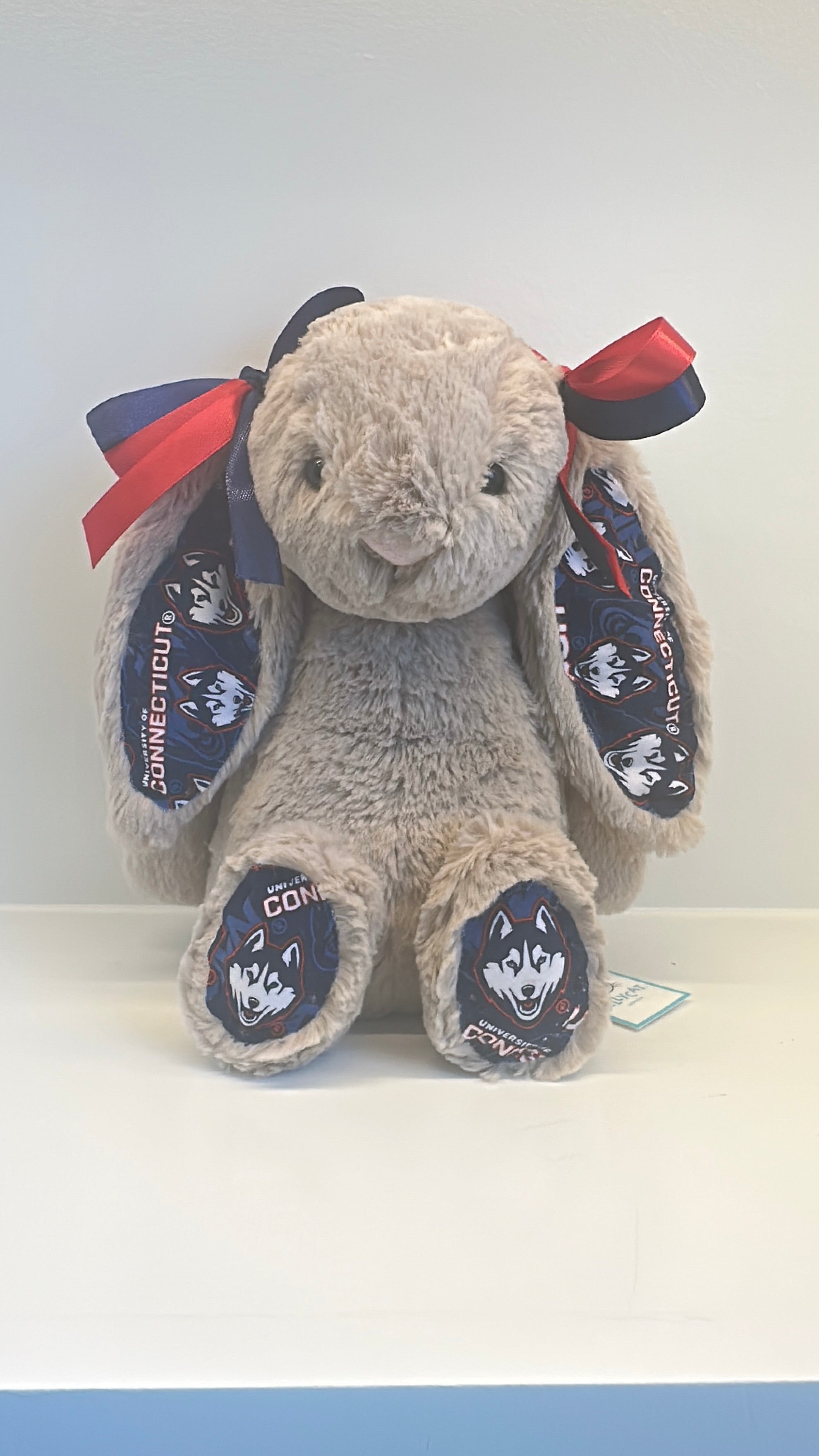 University of Connecticut Custom College Jellycat Bashful Bunny