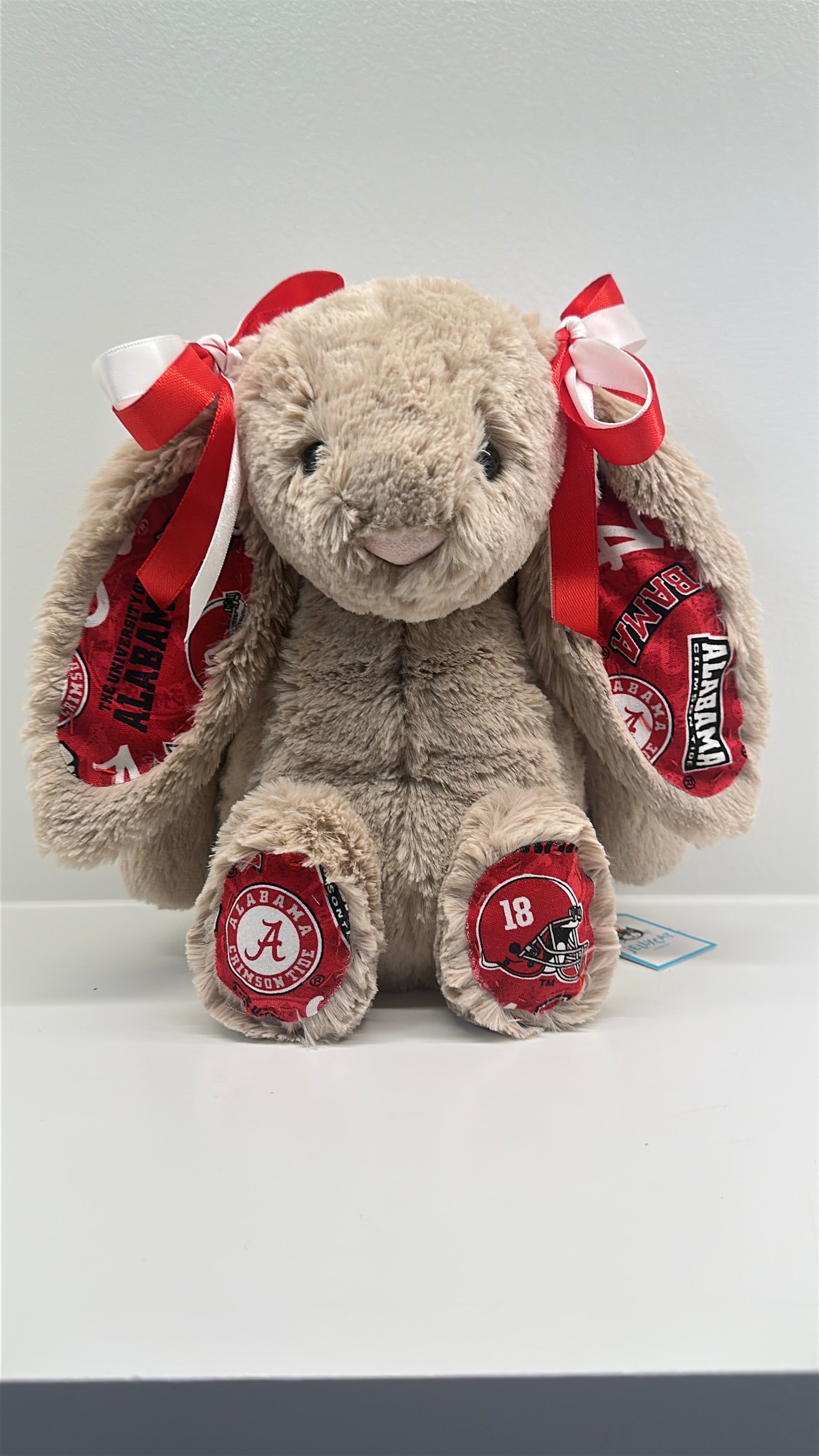 Custom College Jellycat Bashful Bunny