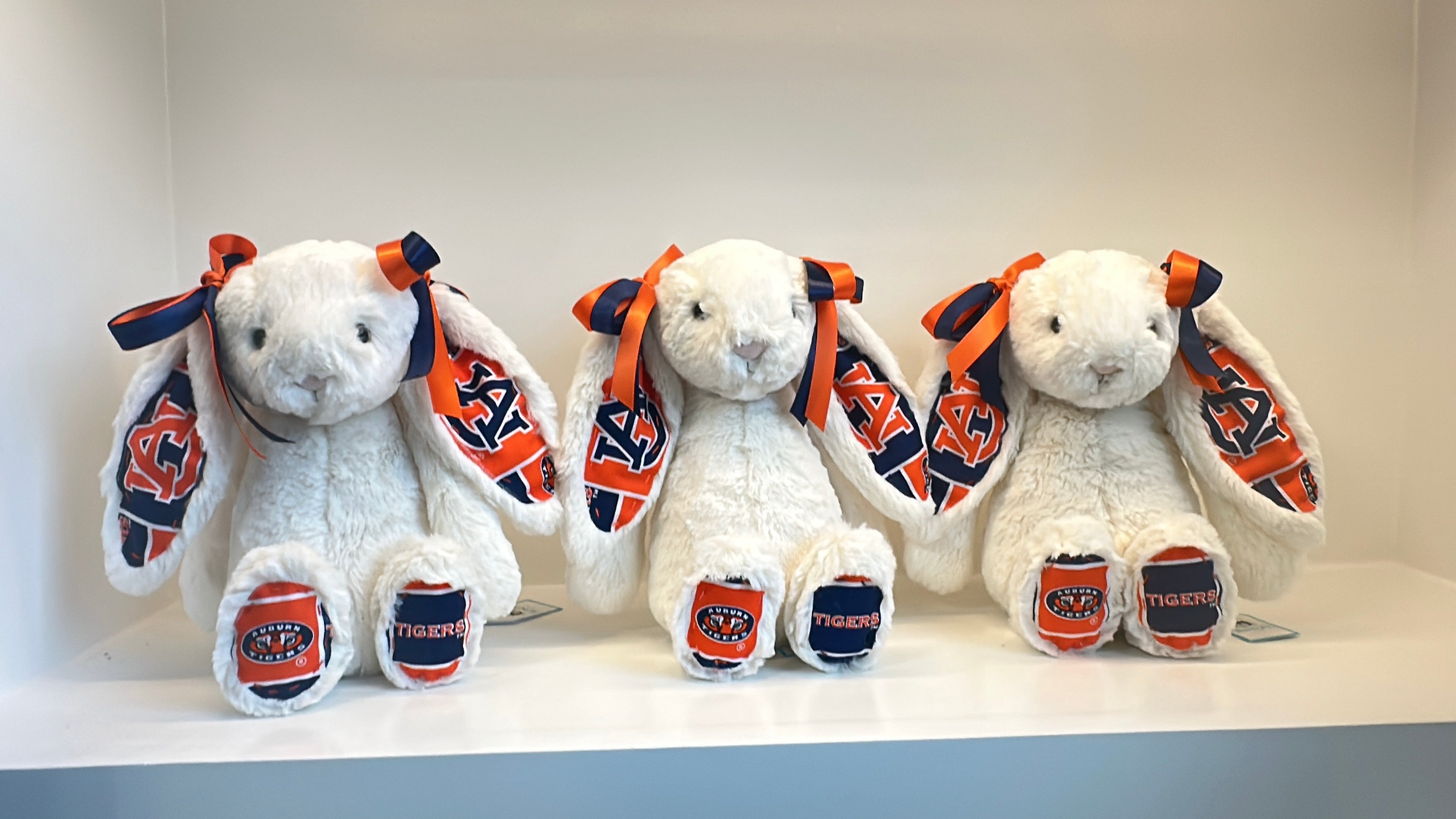 Custom College Jellycat Bashful Bunny