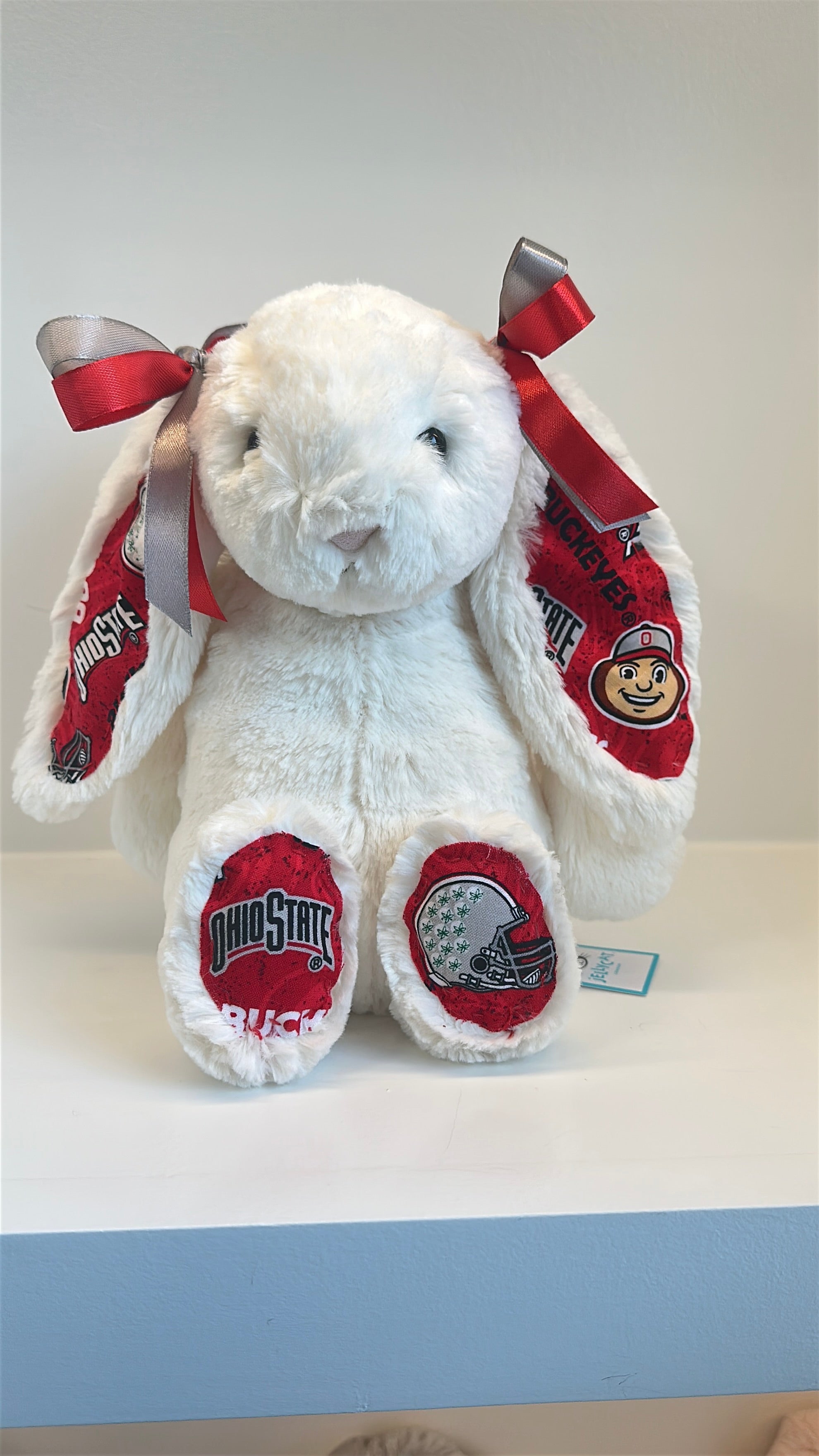 Custom College Jellycat Bashful Bunny