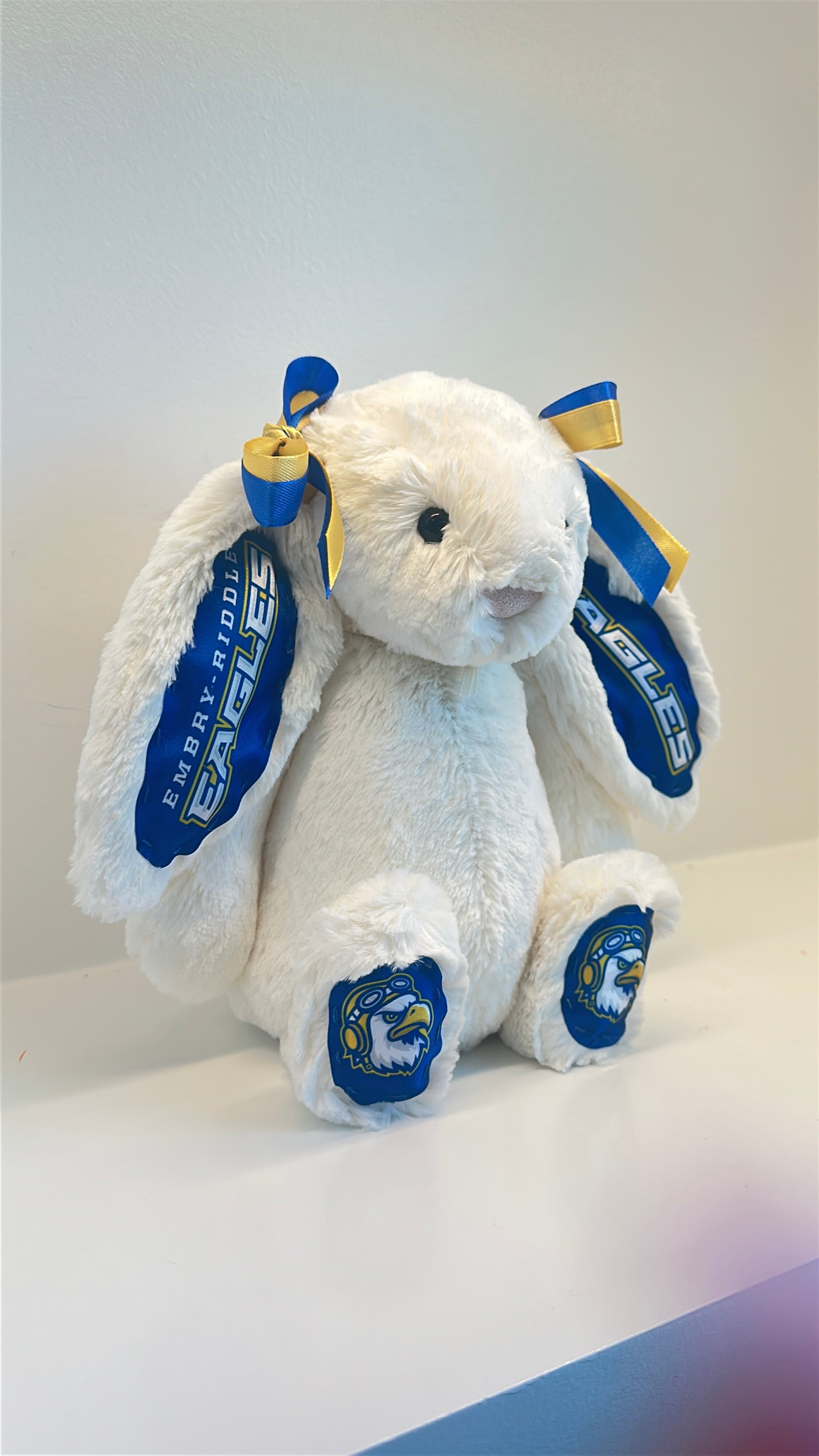 Embry-Riddle Aeronautical University Fully Custom Jellycat Bunny