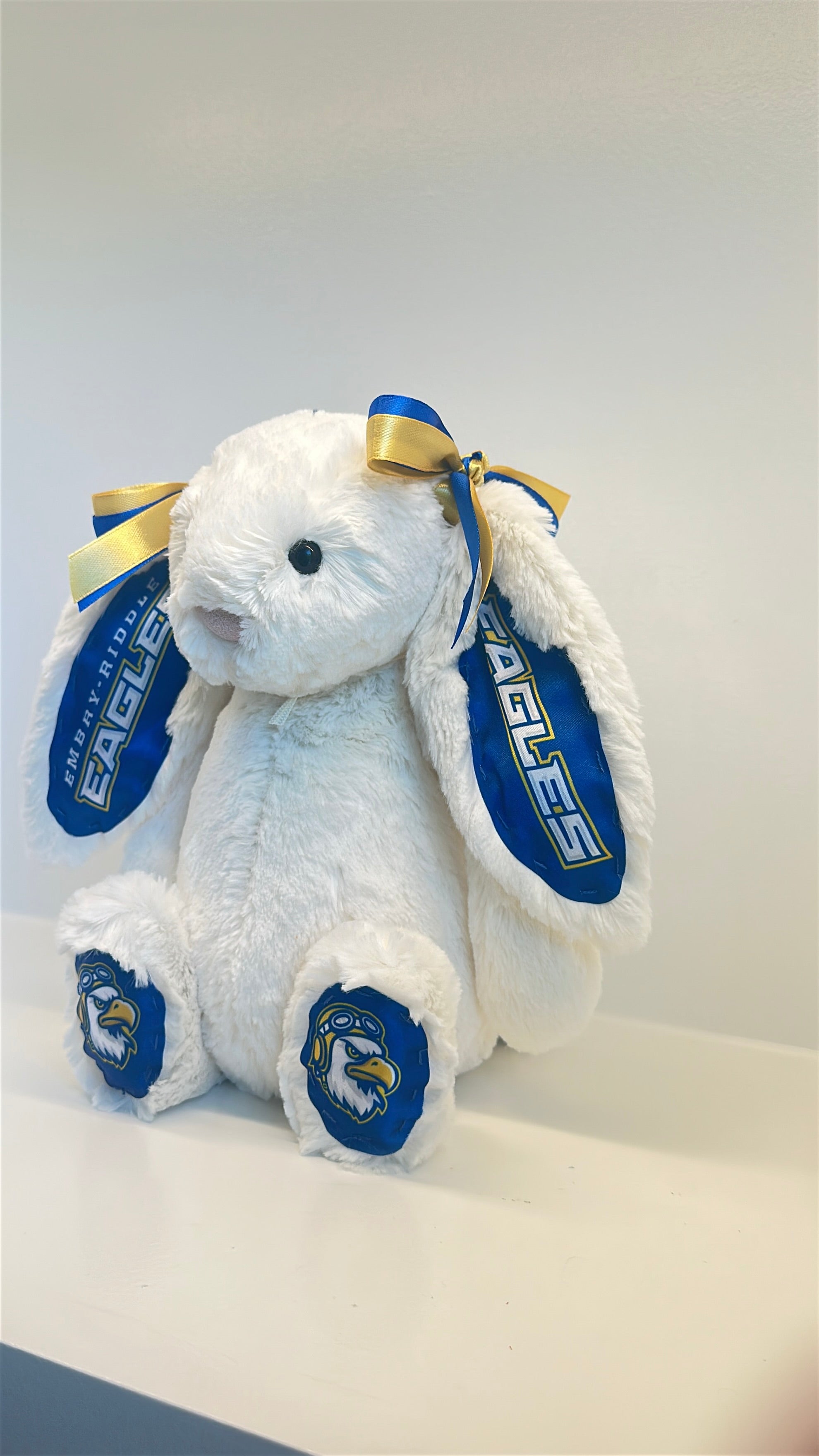 Embry-Riddle Aeronautical University Fully Custom Jellycat Bunny