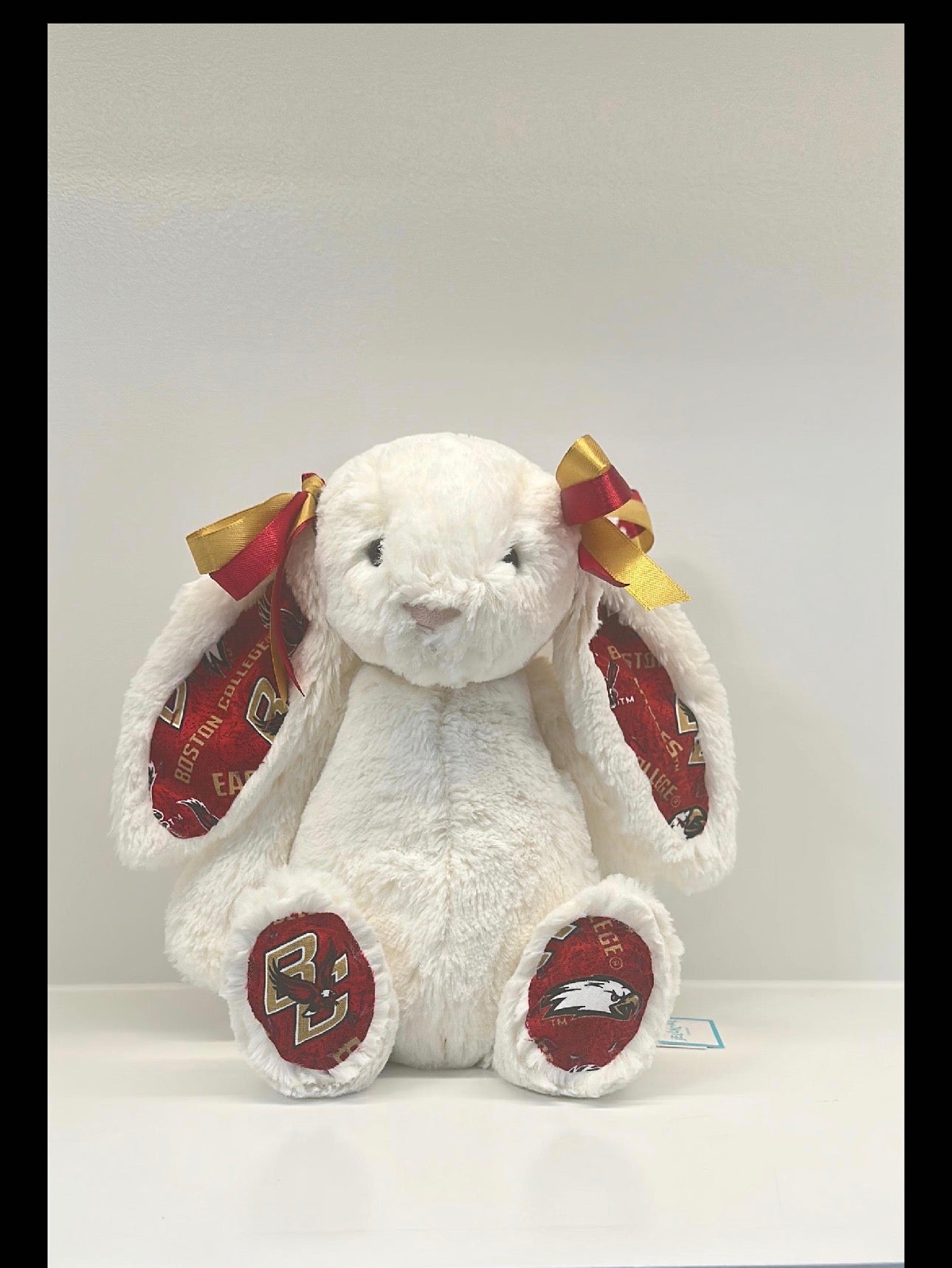 Custom College Jellycat Bashful Bunny