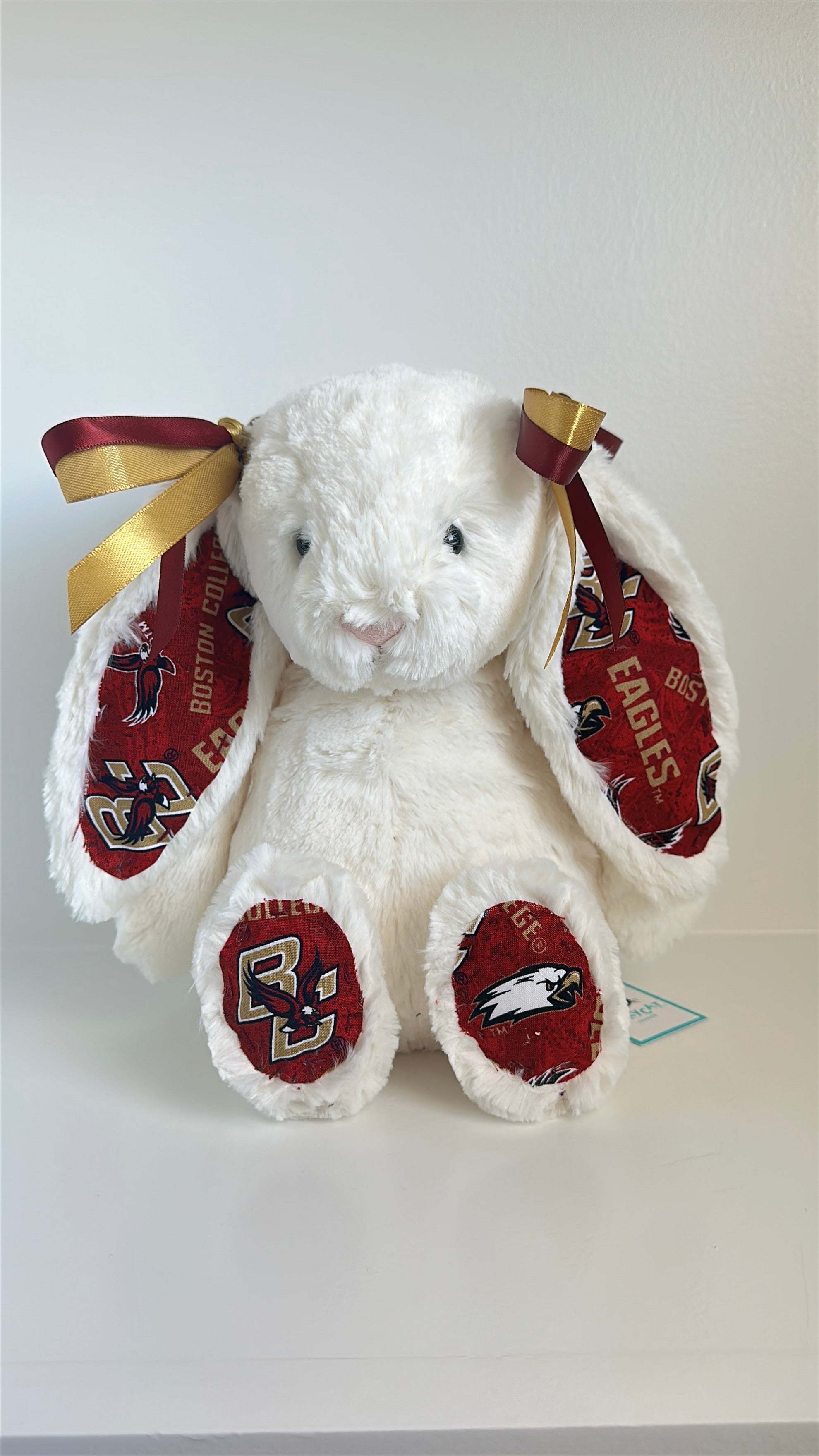 Custom College Jellycat Bashful Bunny
