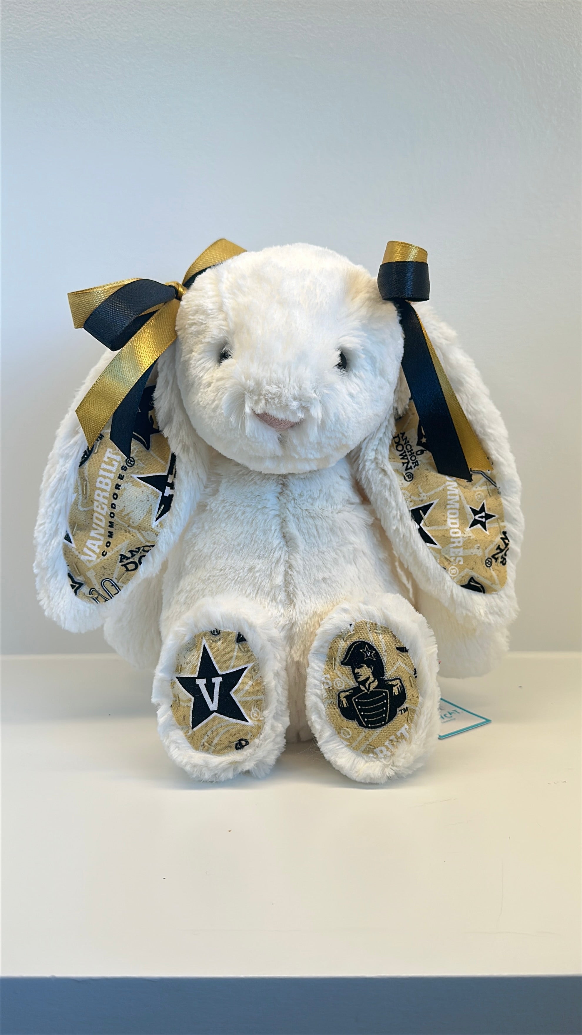 Custom College Jellycat Bashful Bunny