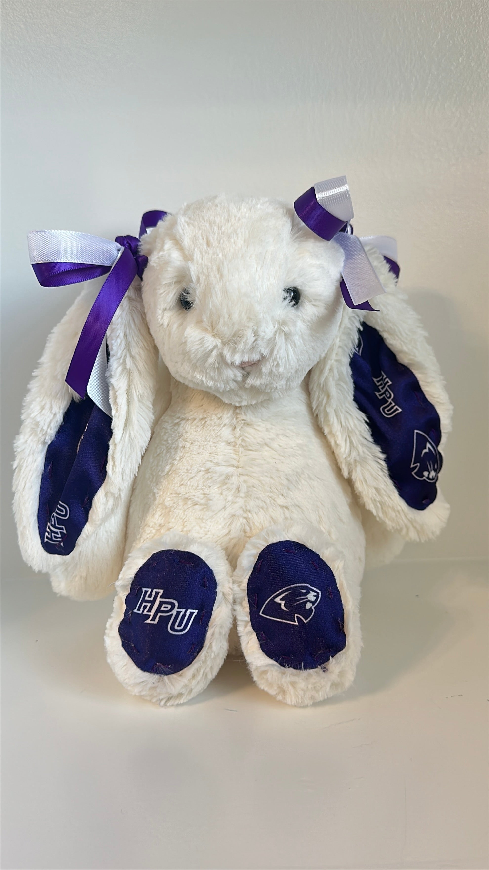 Custom College Jellycat Bashful Bunny