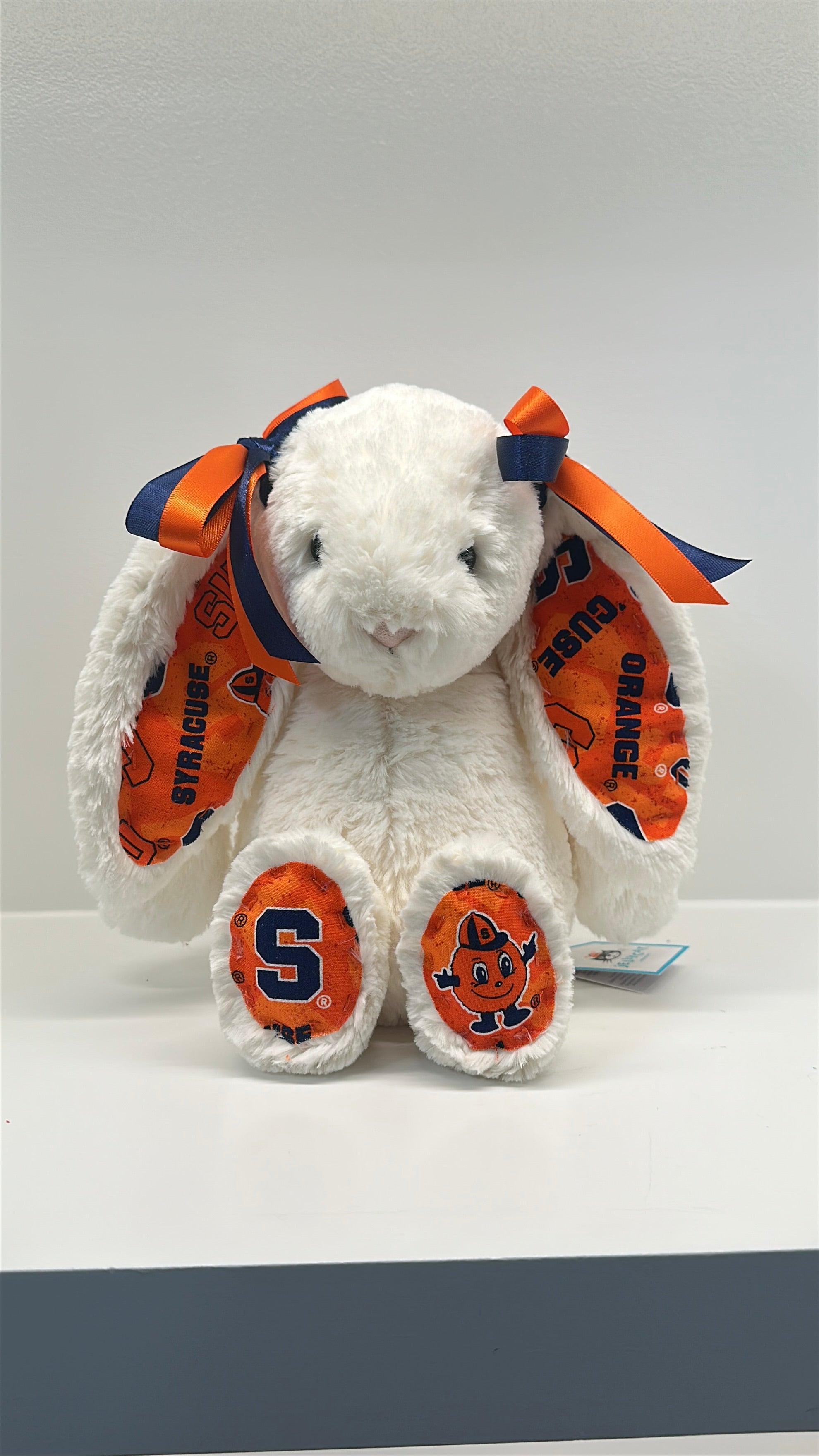 Custom College Jellycat Bashful Bunny